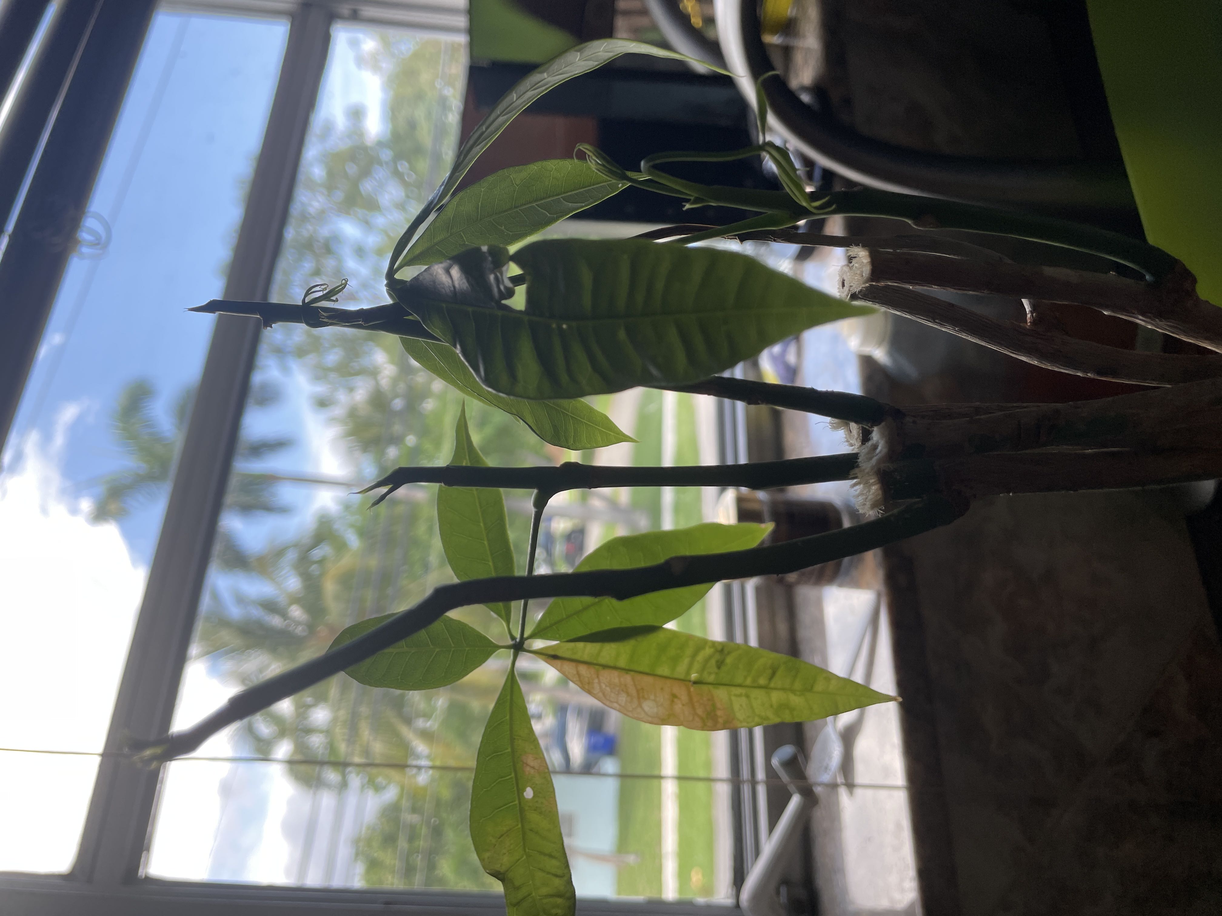 Photo from the post