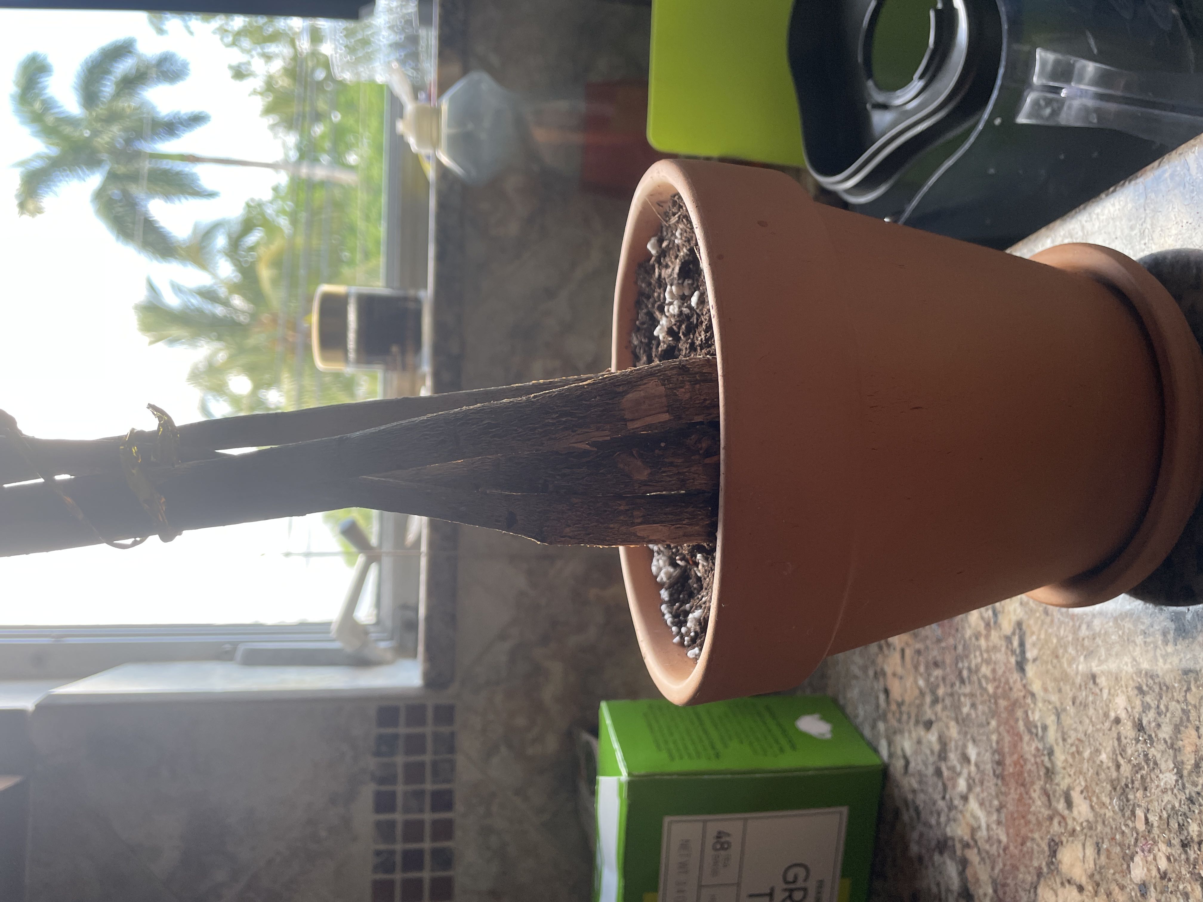 Photo from the post