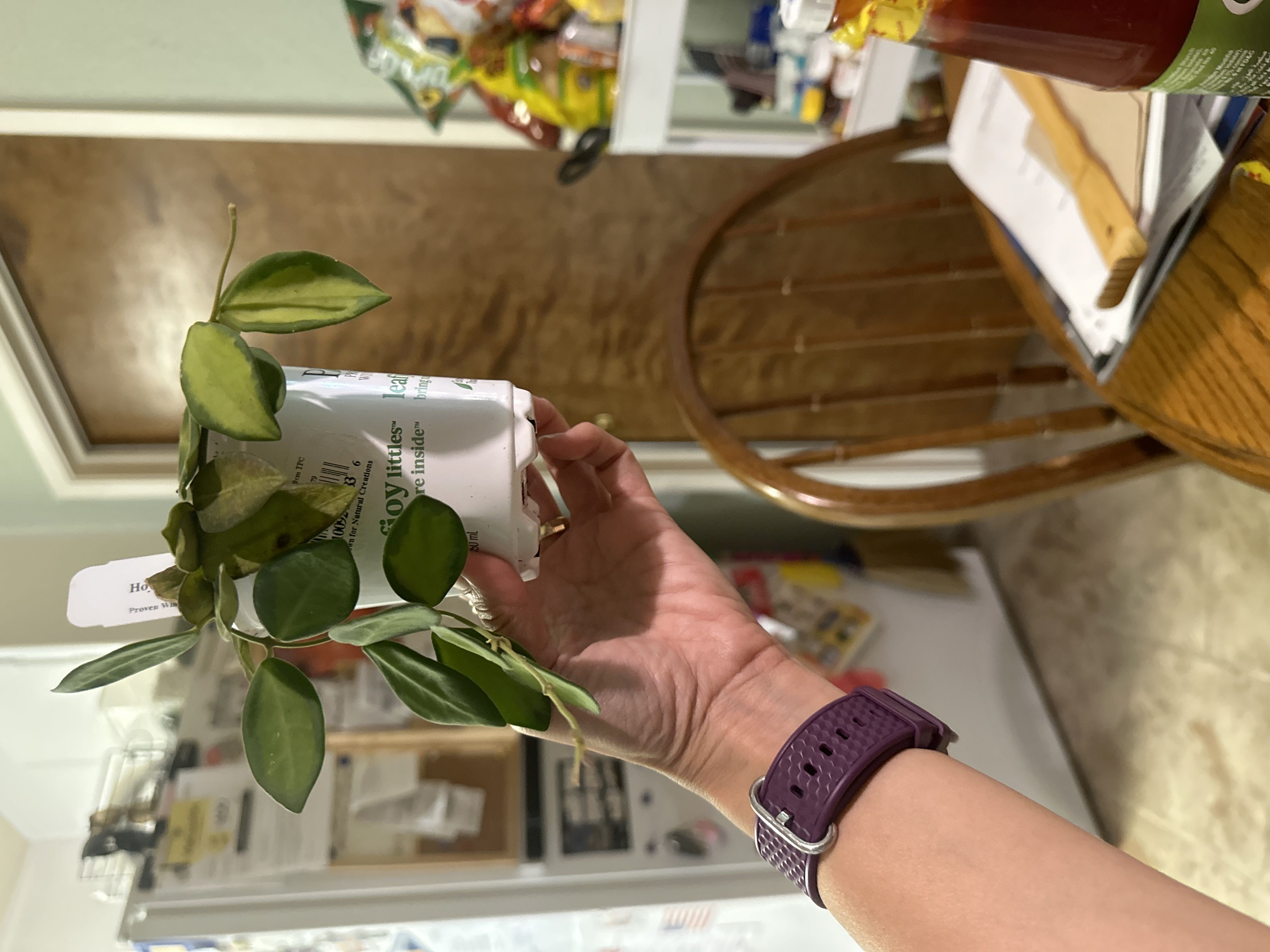 Photo from the post