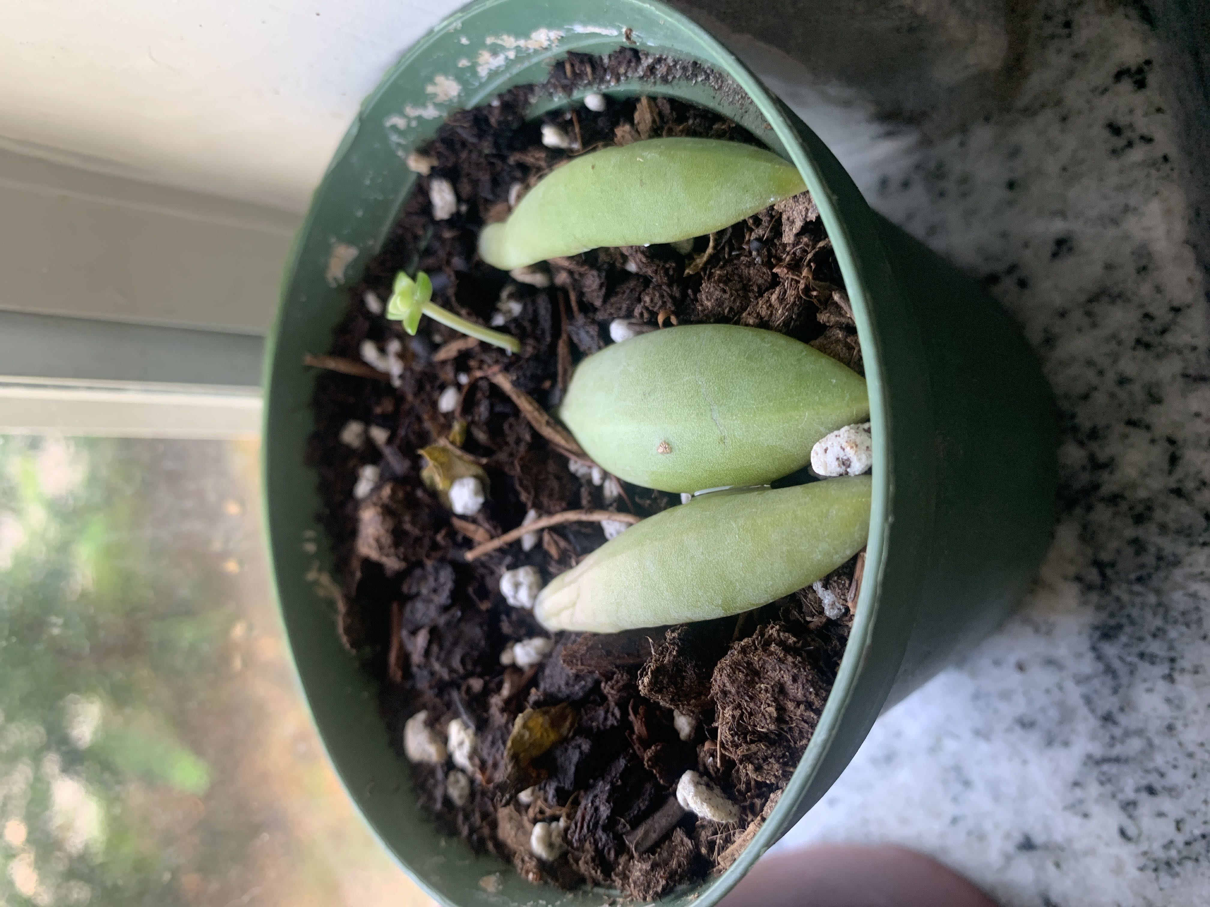 Photo from the post