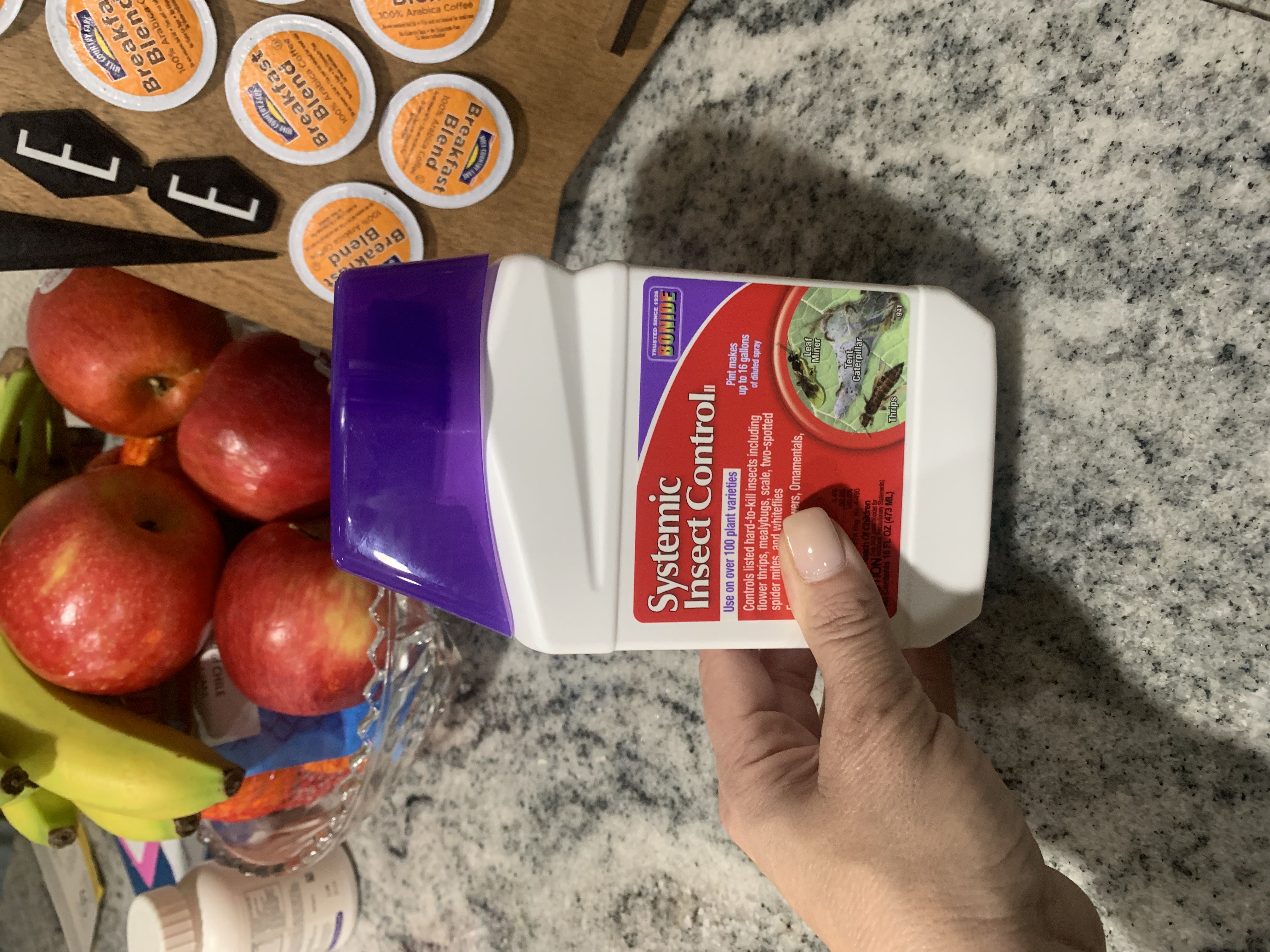 Photo from the post