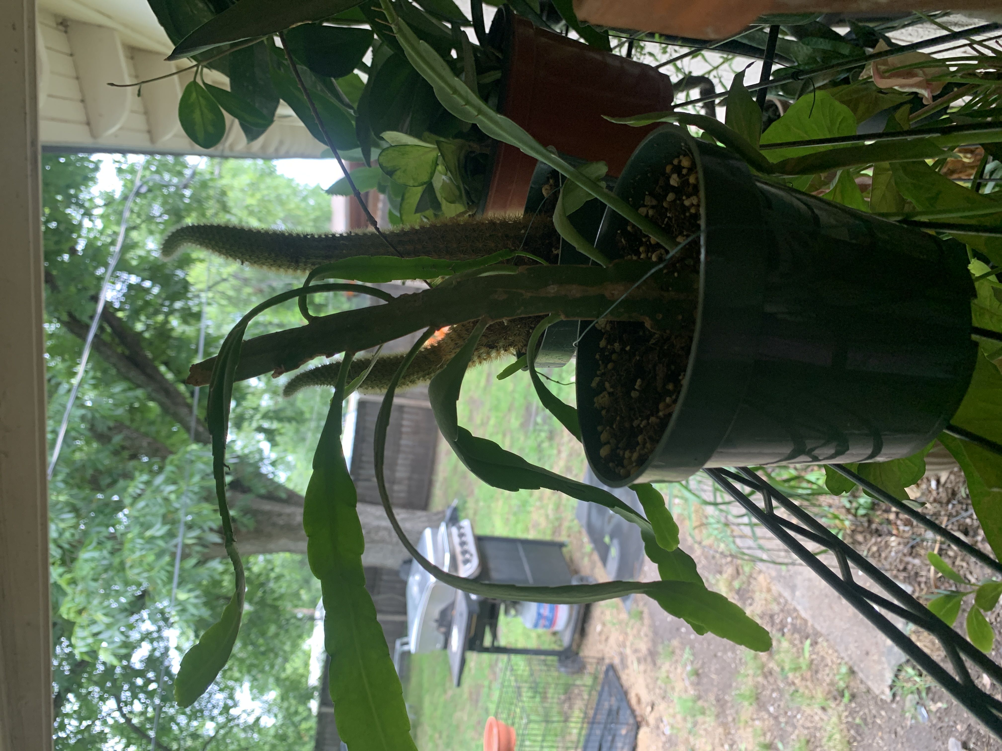 Photo from the post