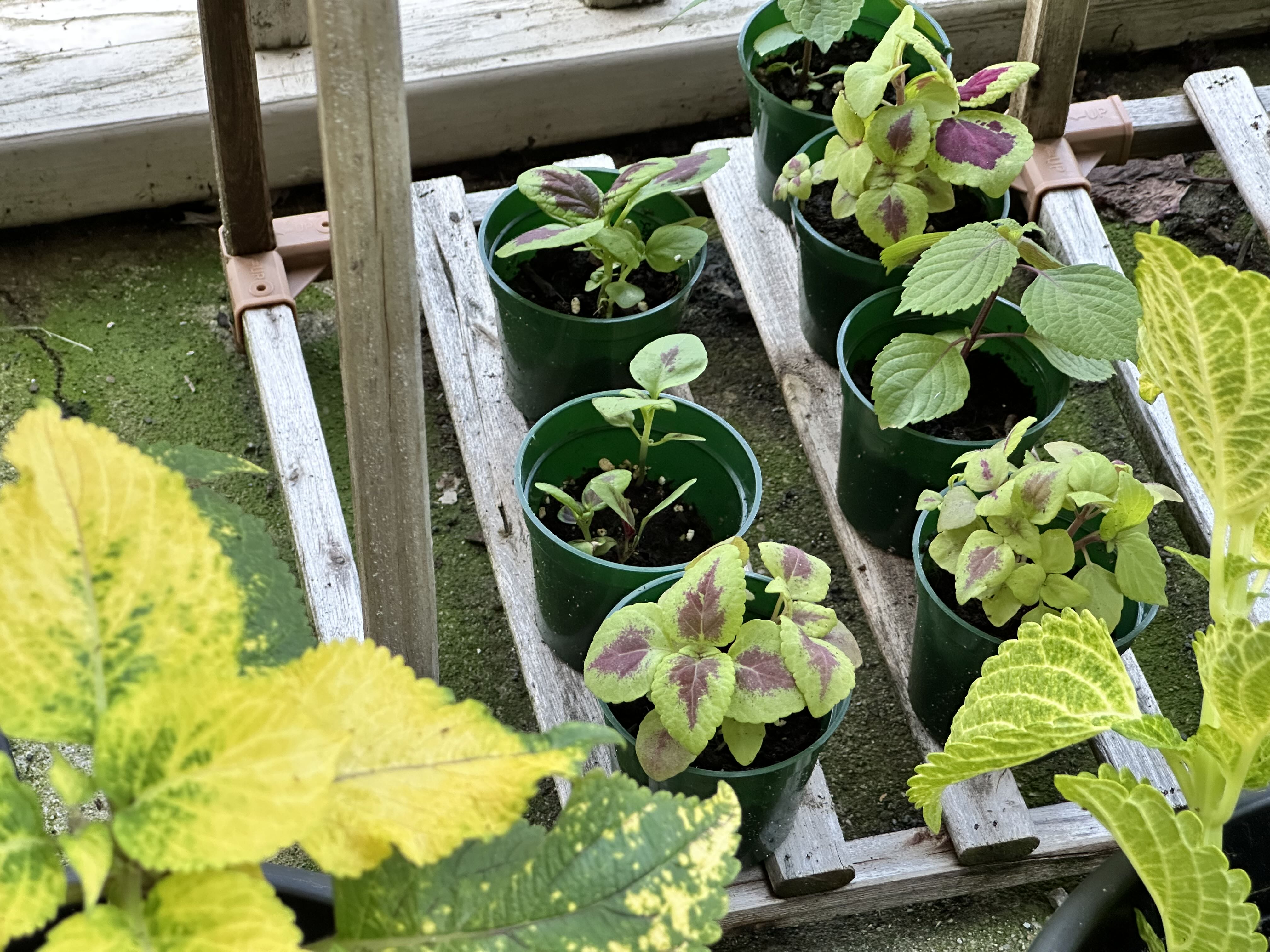 Photo from the post