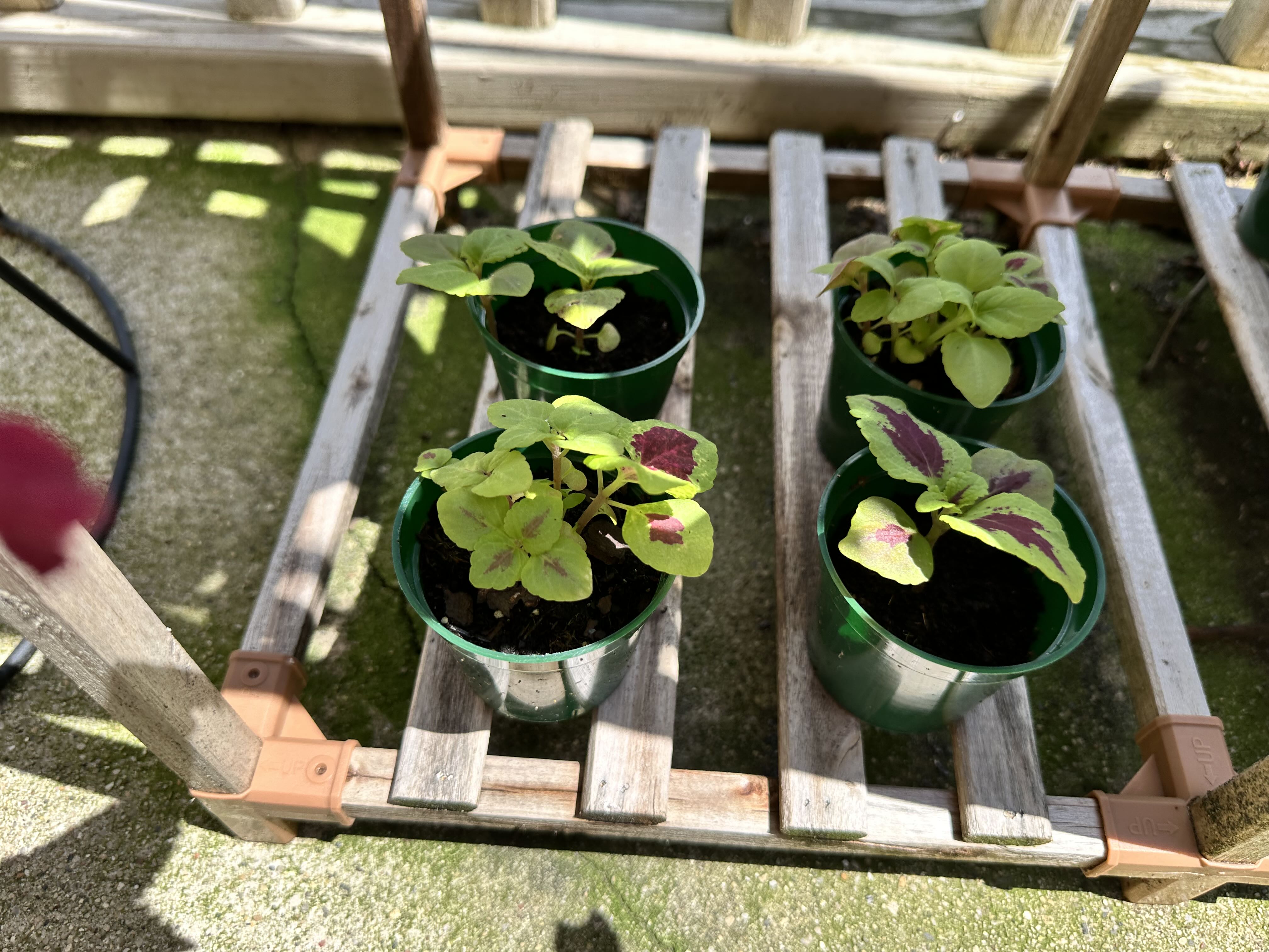 Photo from the post