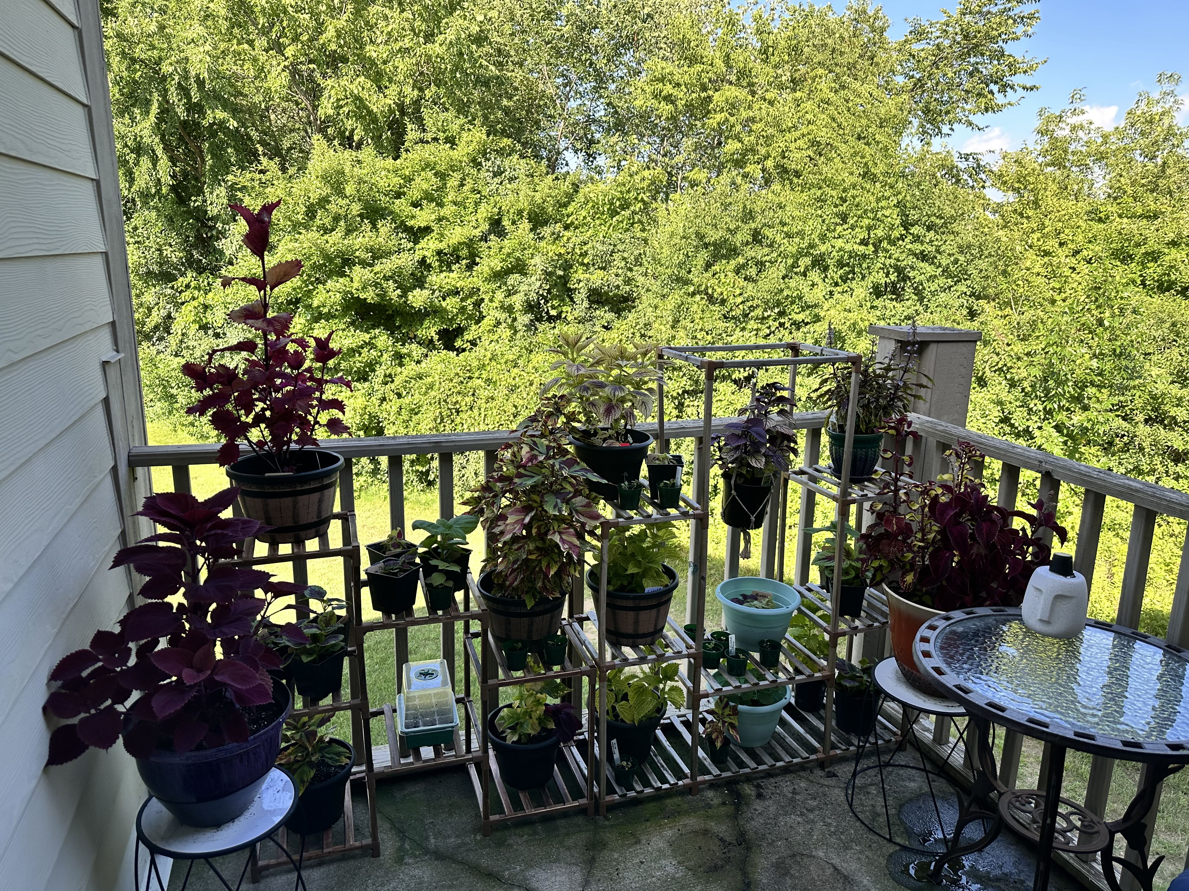 Photo from the post