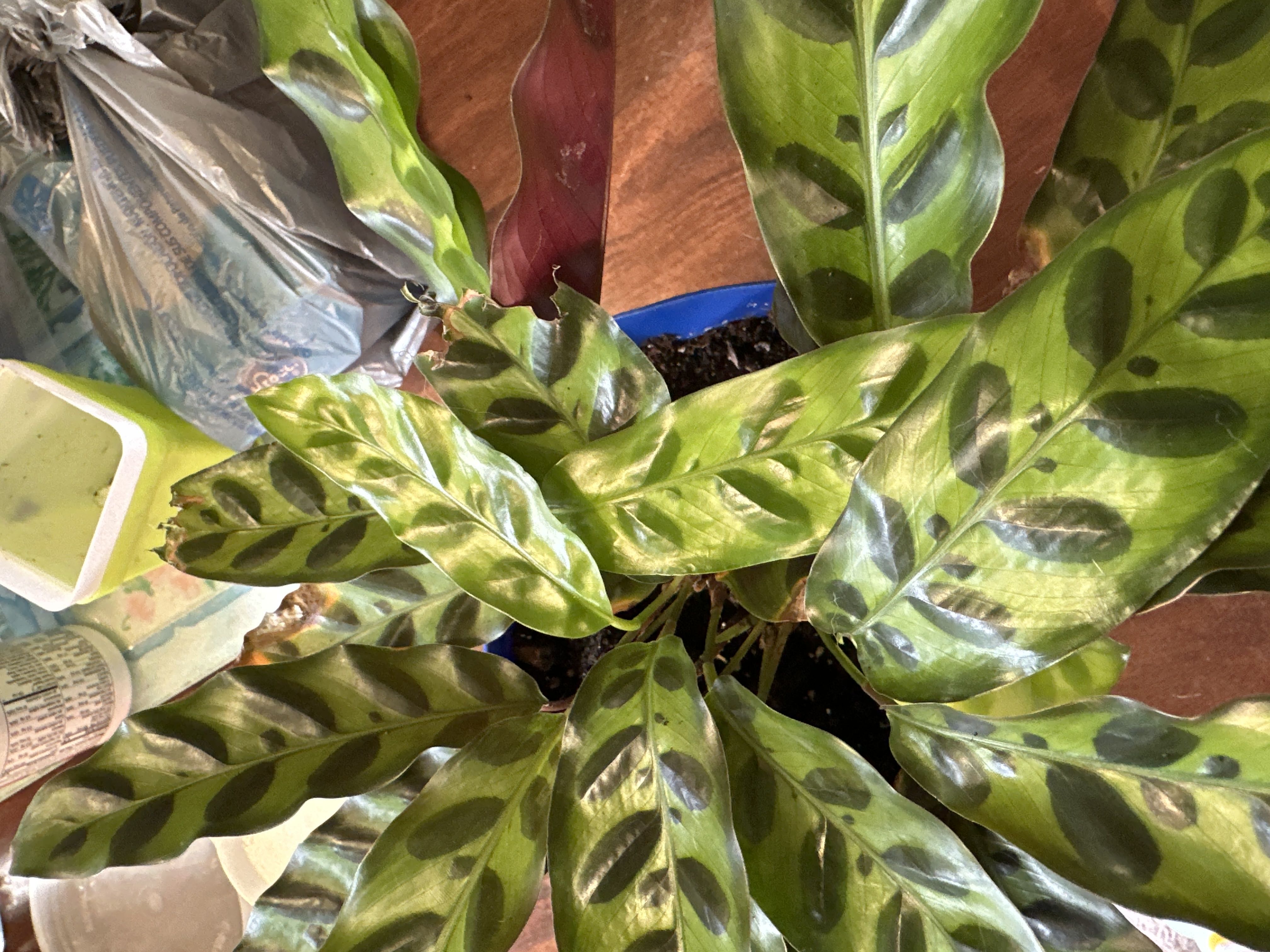 Photo from the post
