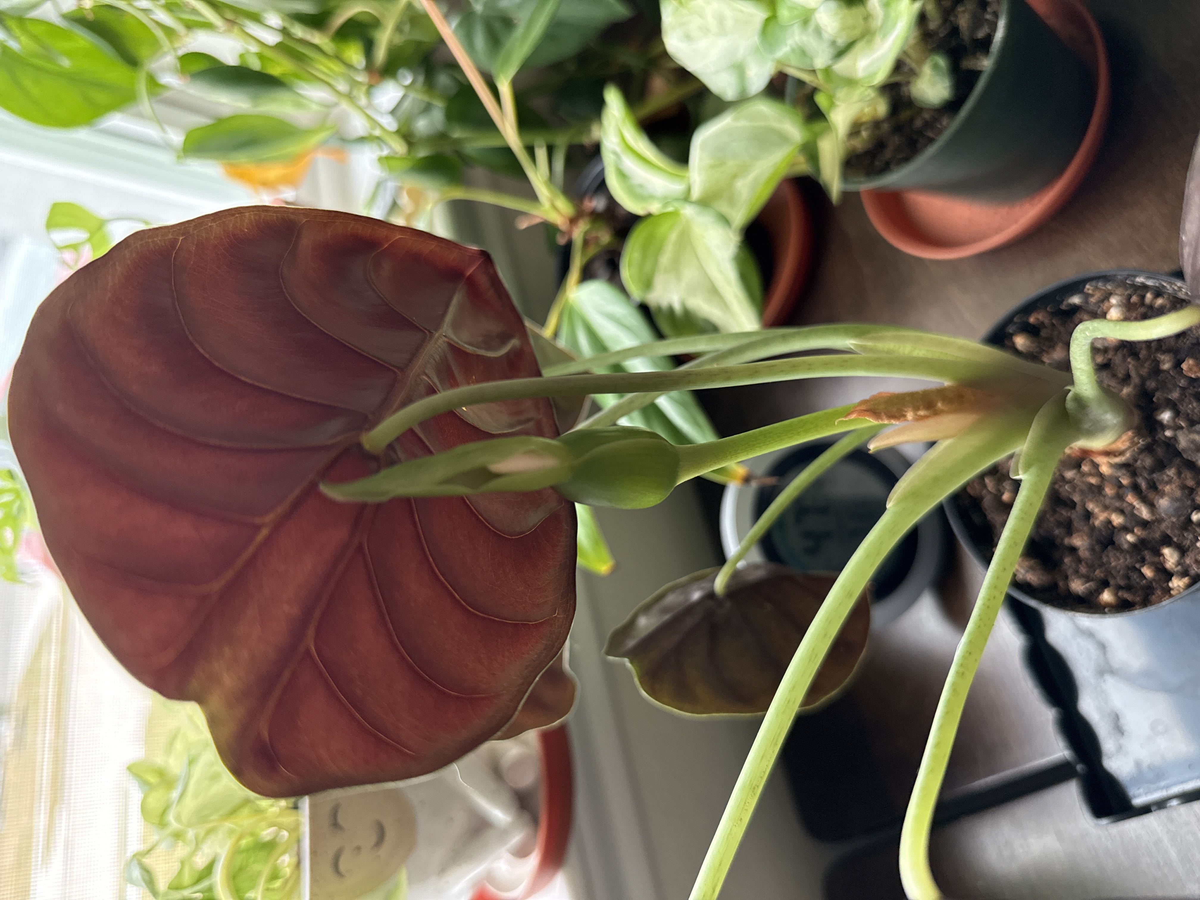 Photo from the post