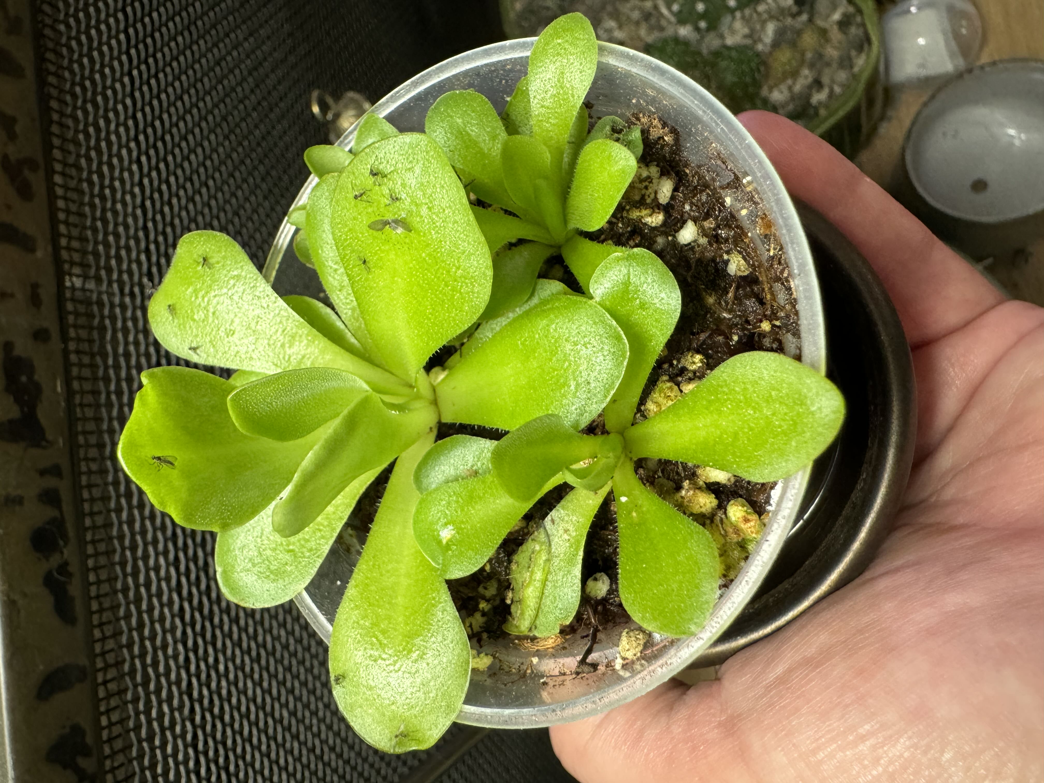 Photo from the post