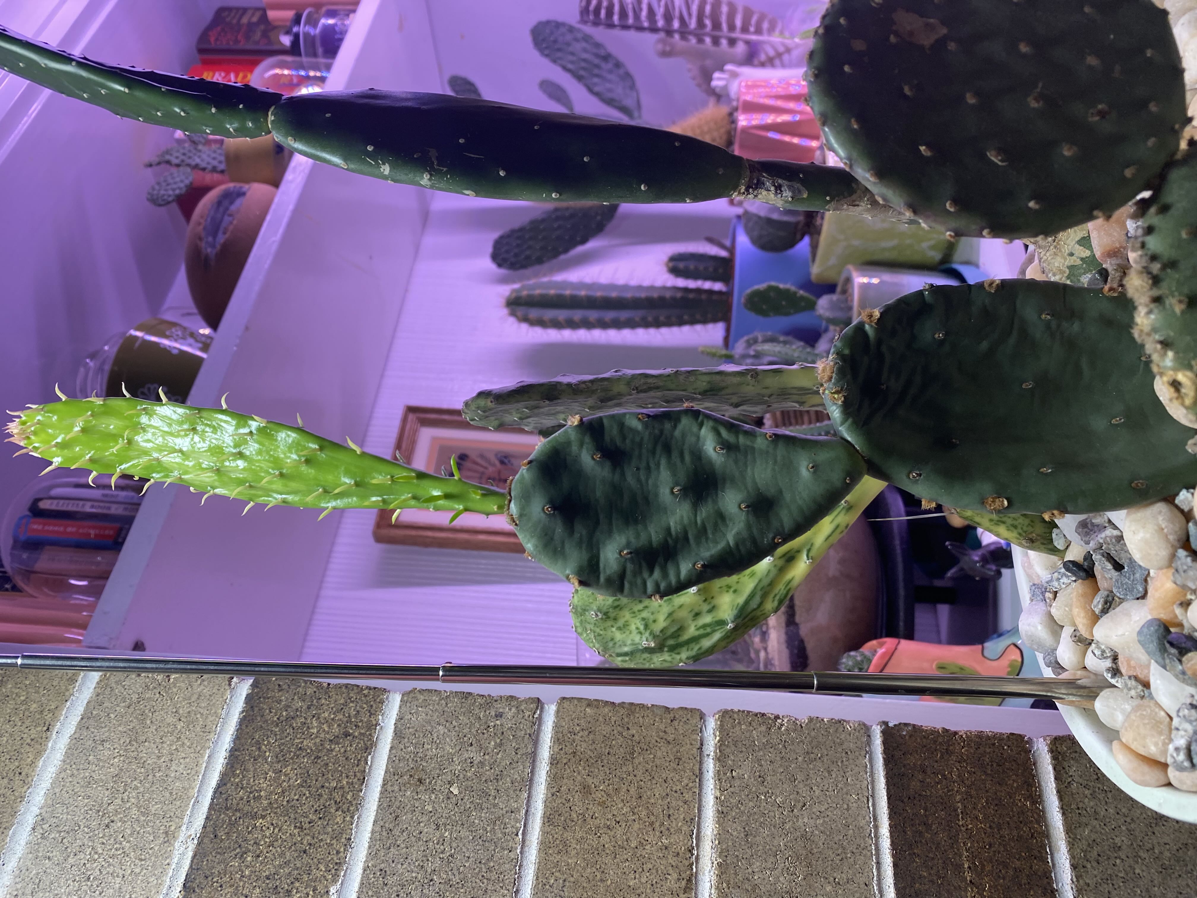 Photo from the post