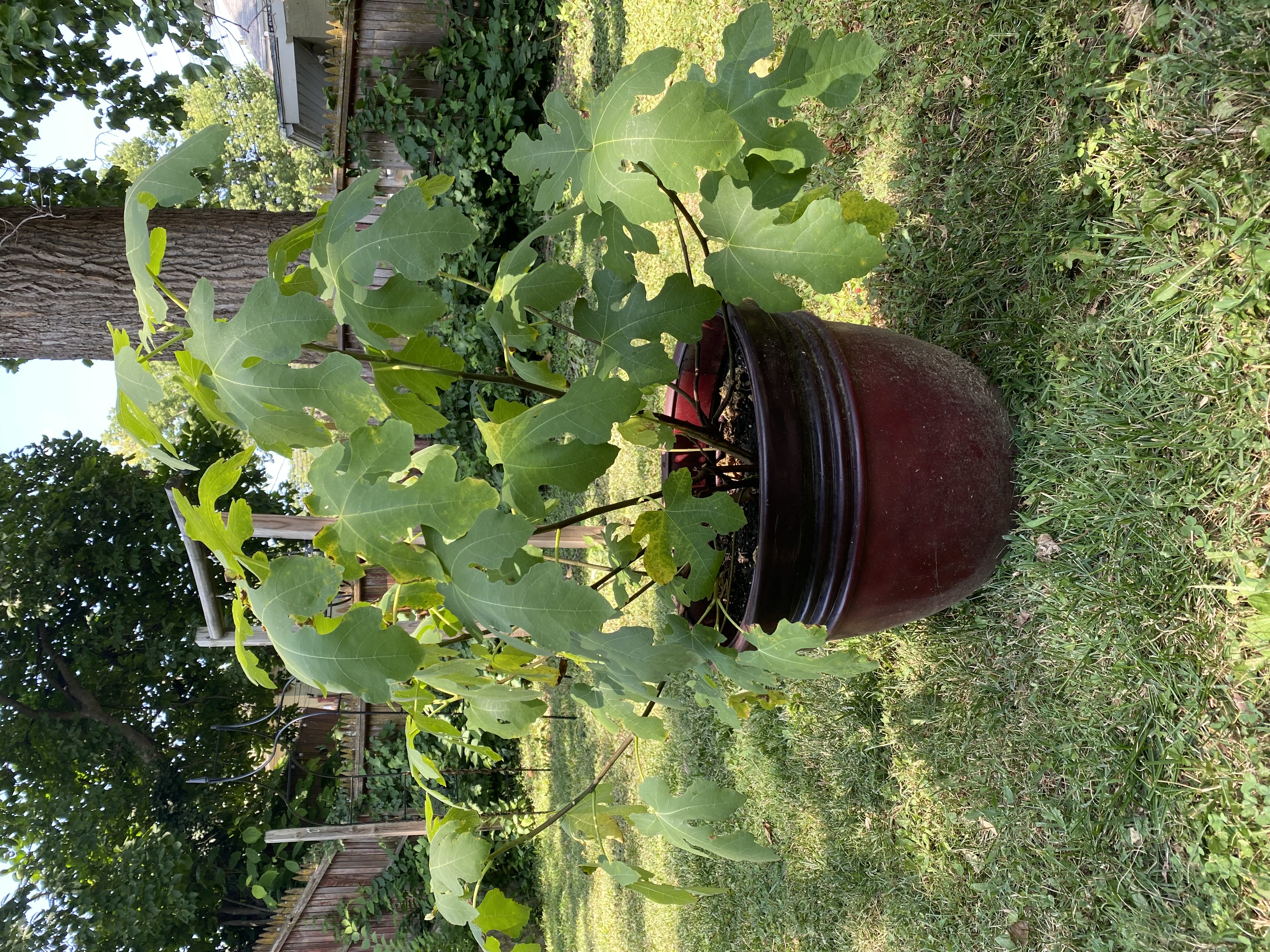 Photo from the post
