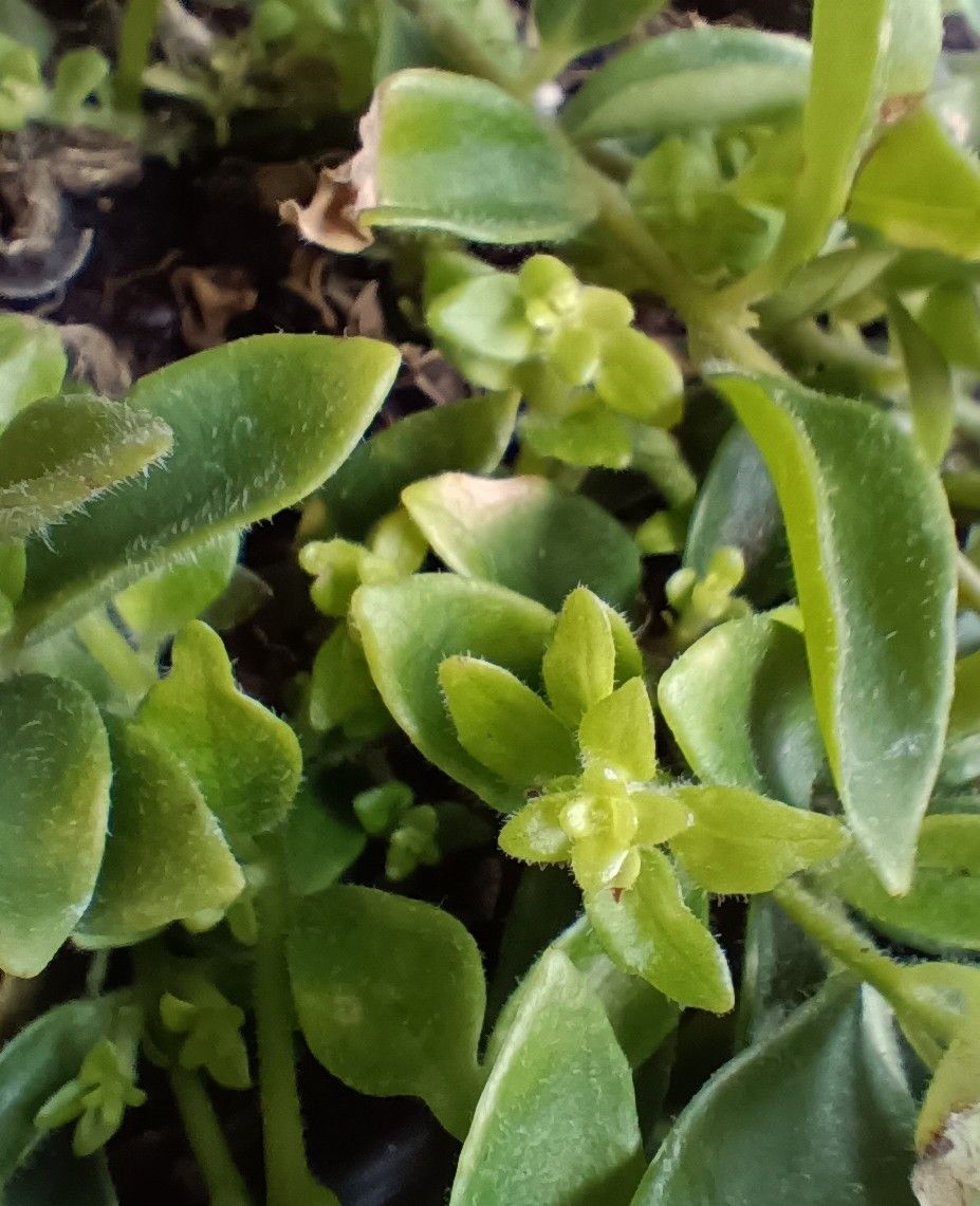 Photo from the post