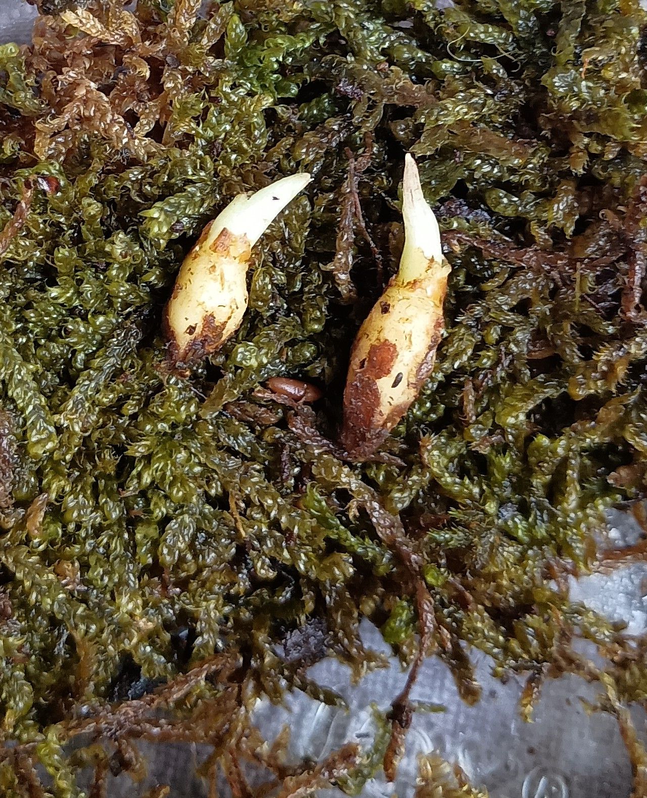 Photo from the post