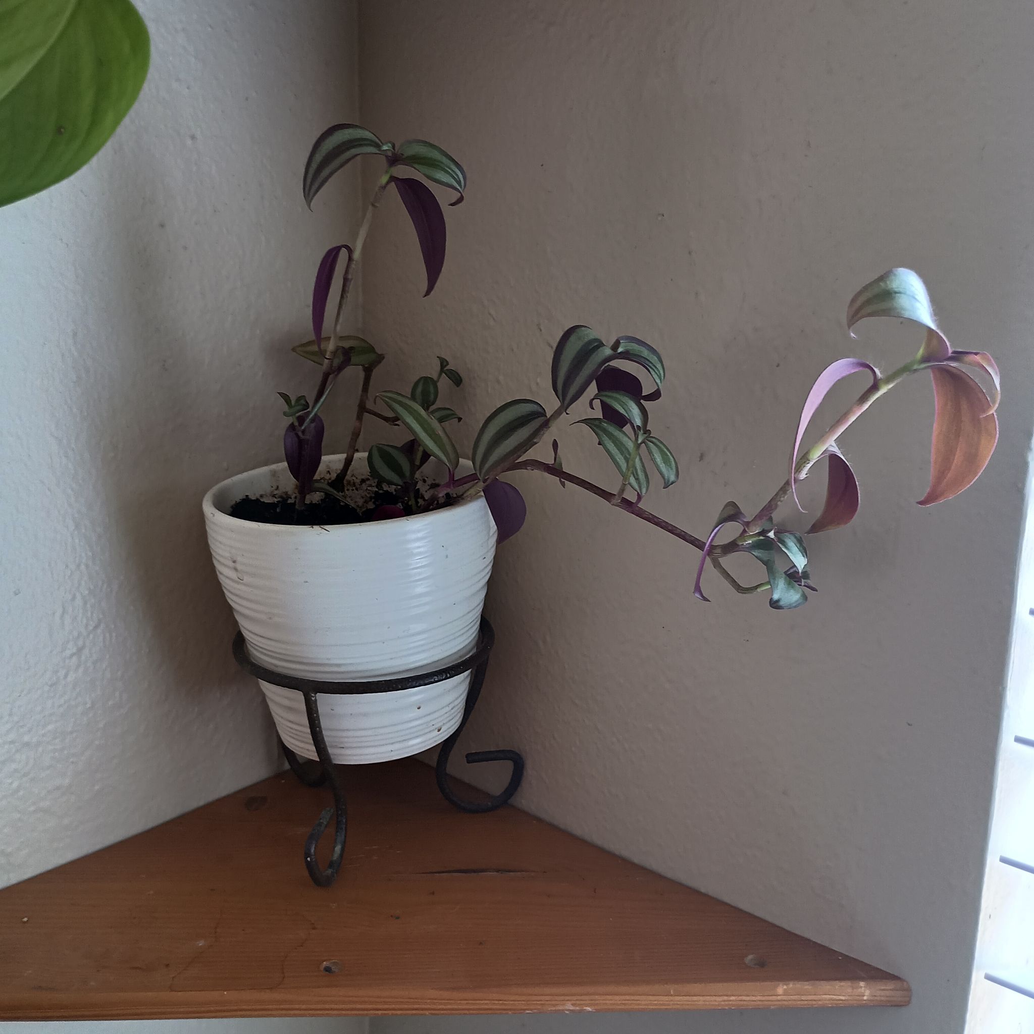 Photo from the post