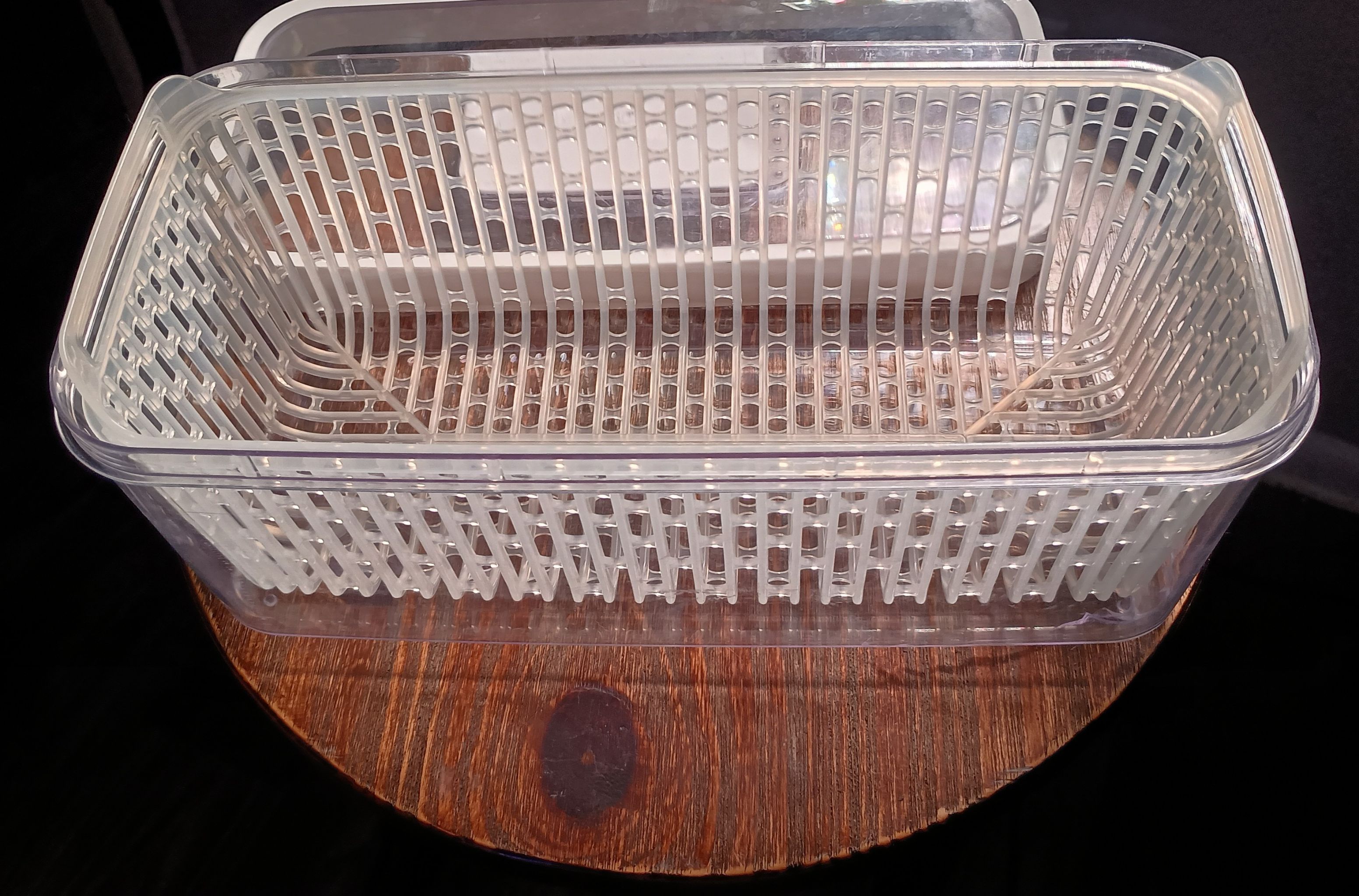 Photo from the post