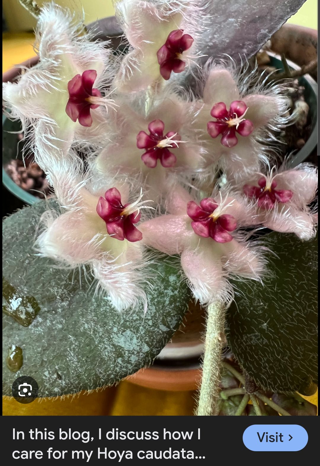 Photo from the post