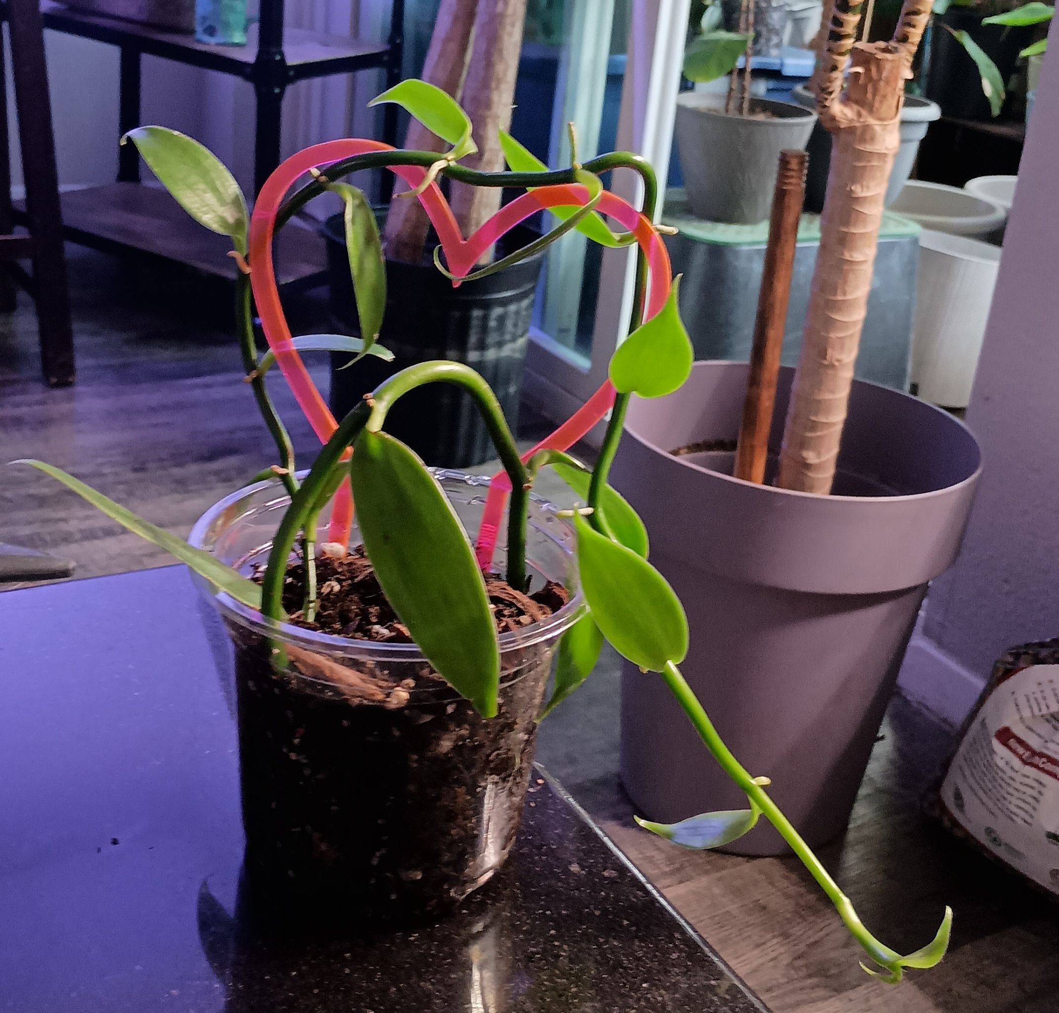 Photo from the post