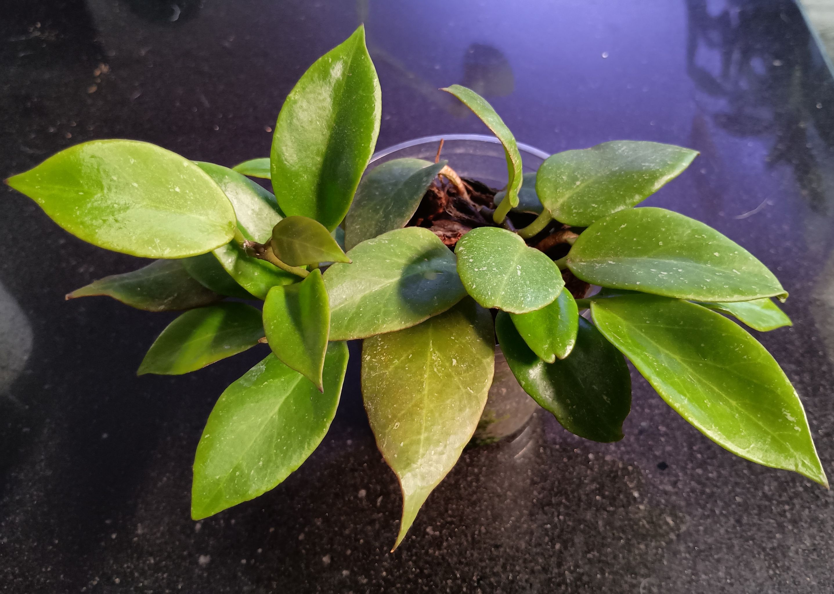 Photo from the post