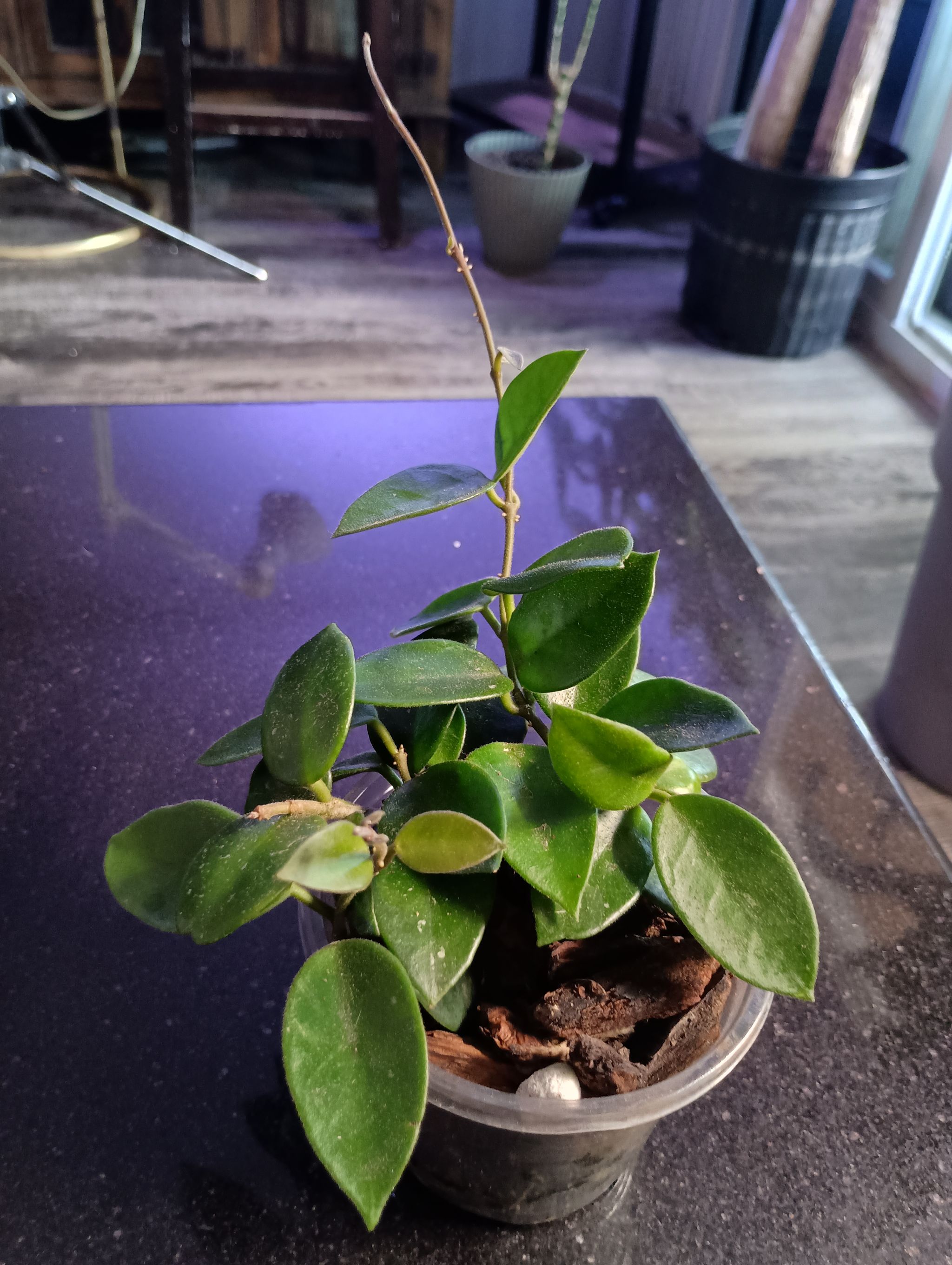 Photo from the post