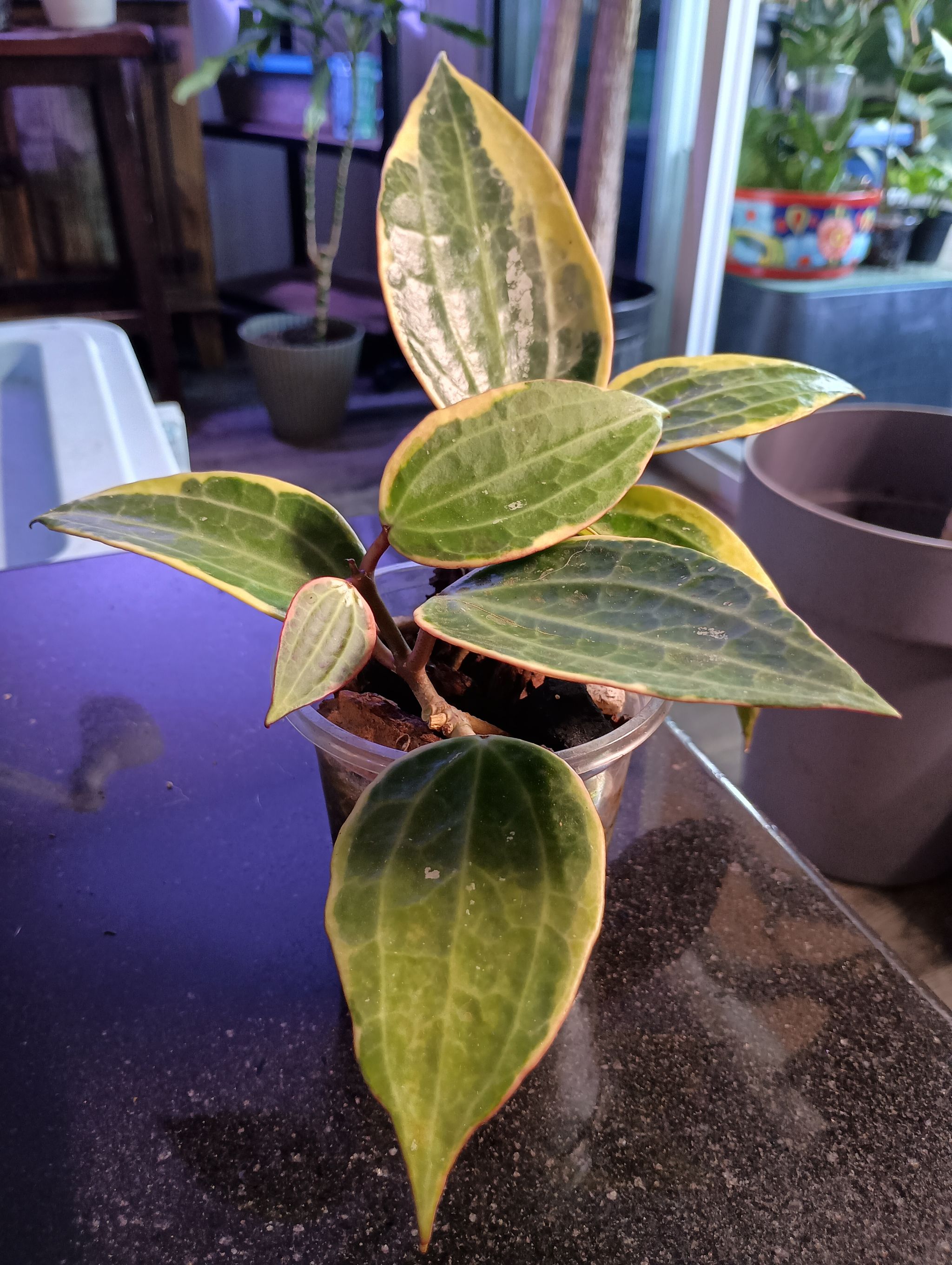 Photo from the post