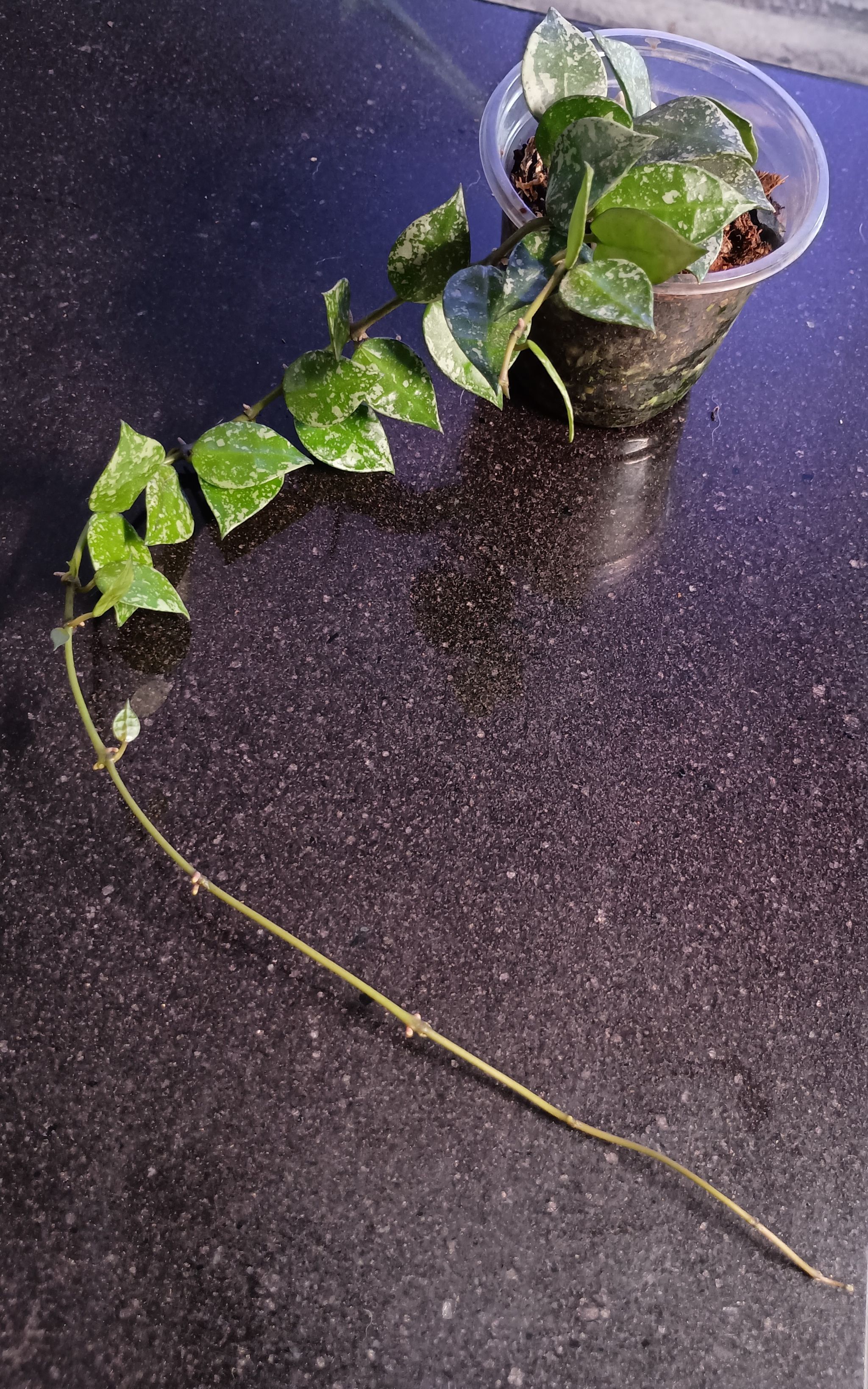 Photo from the post