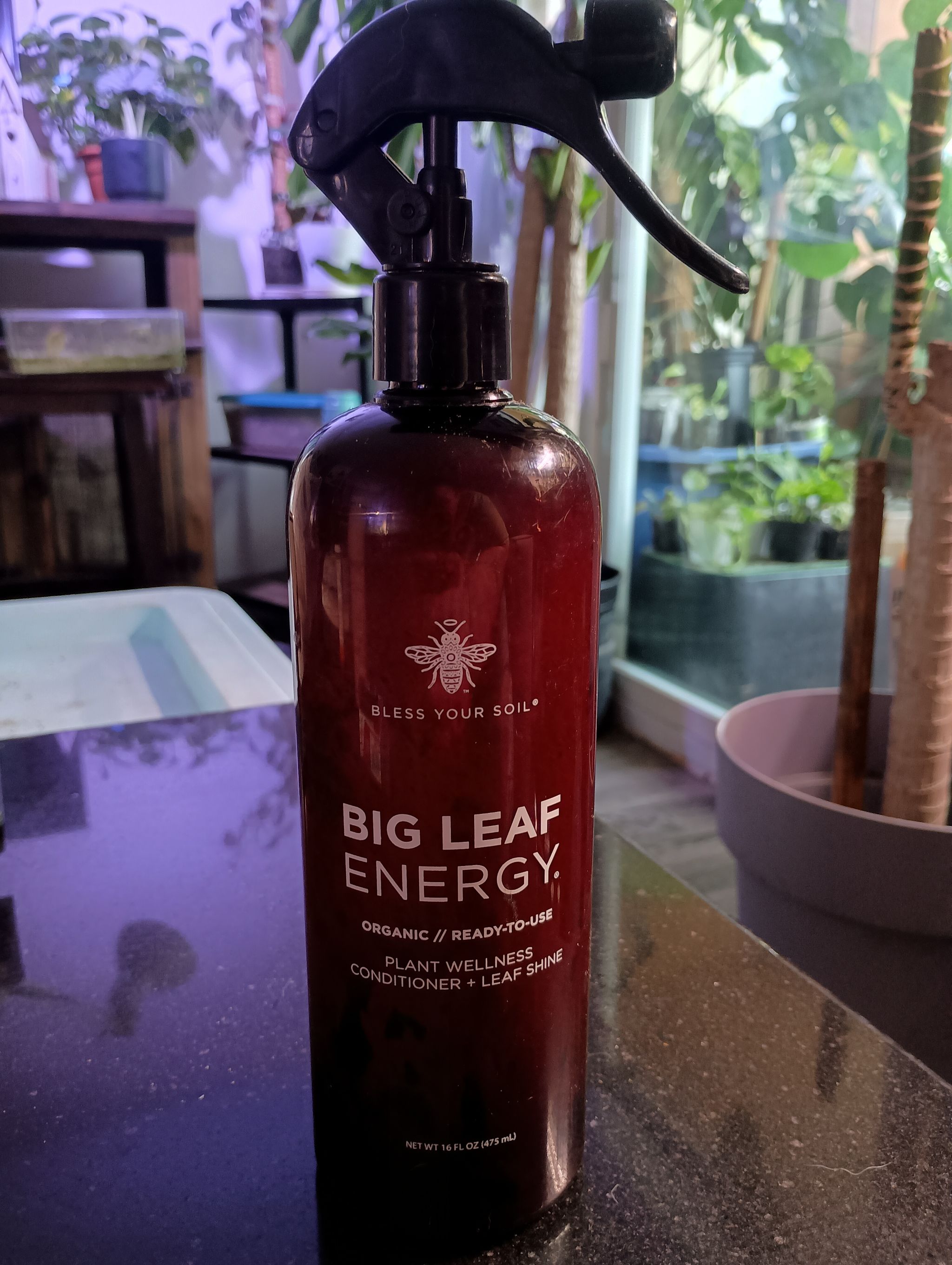 Photo from the post