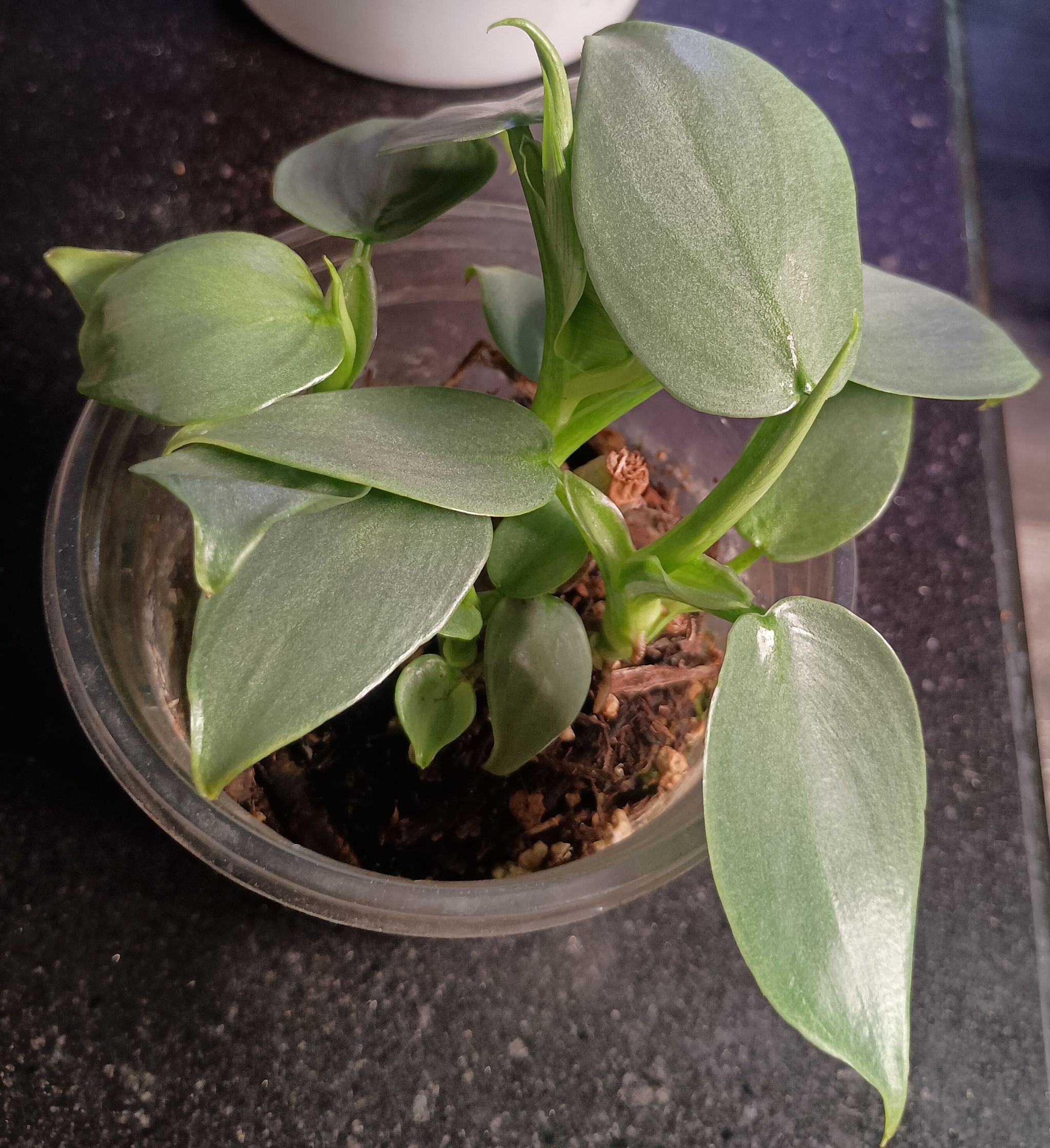 Photo from the post