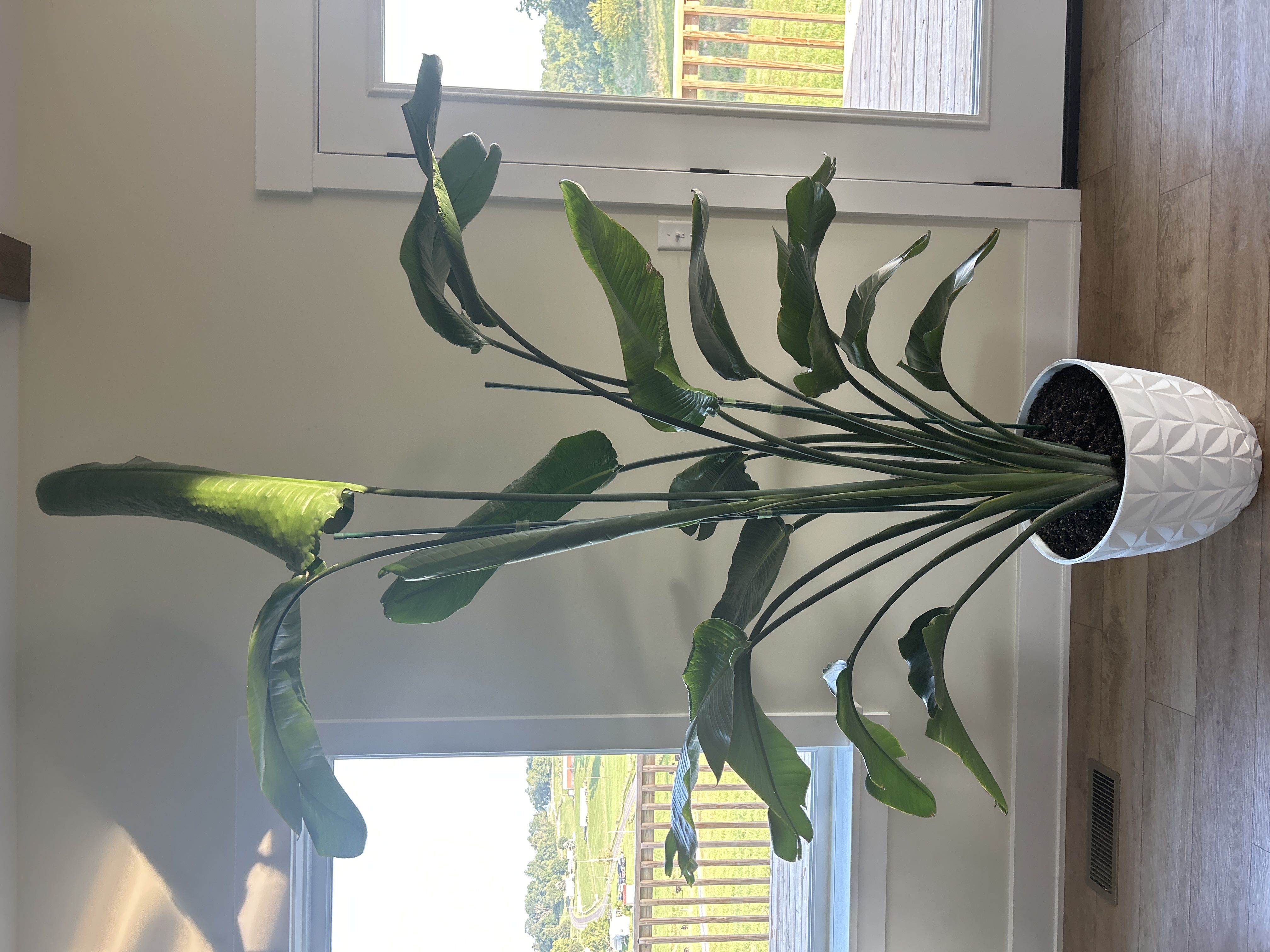 Photo from the post