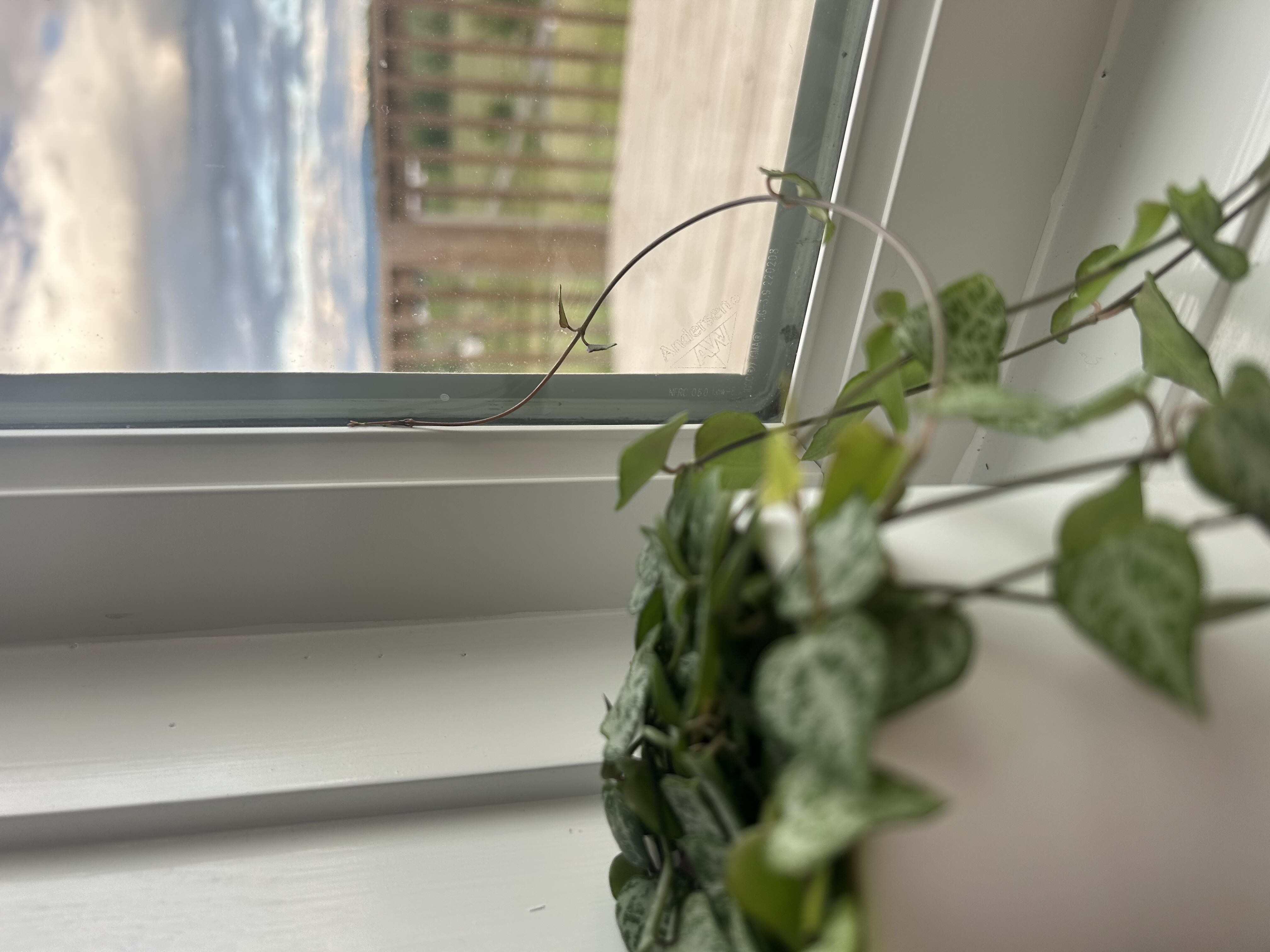 Photo from the post