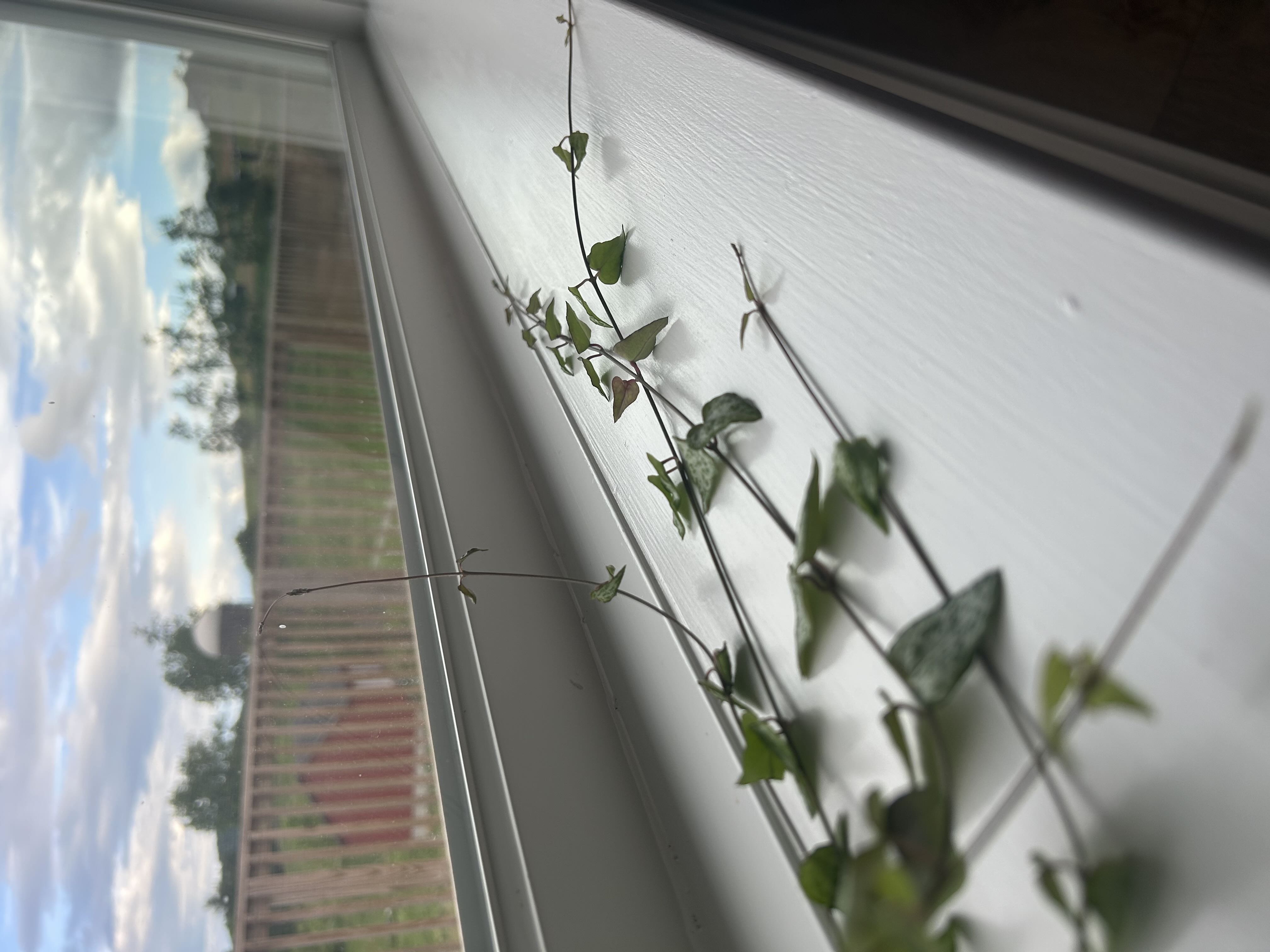 Photo from the post