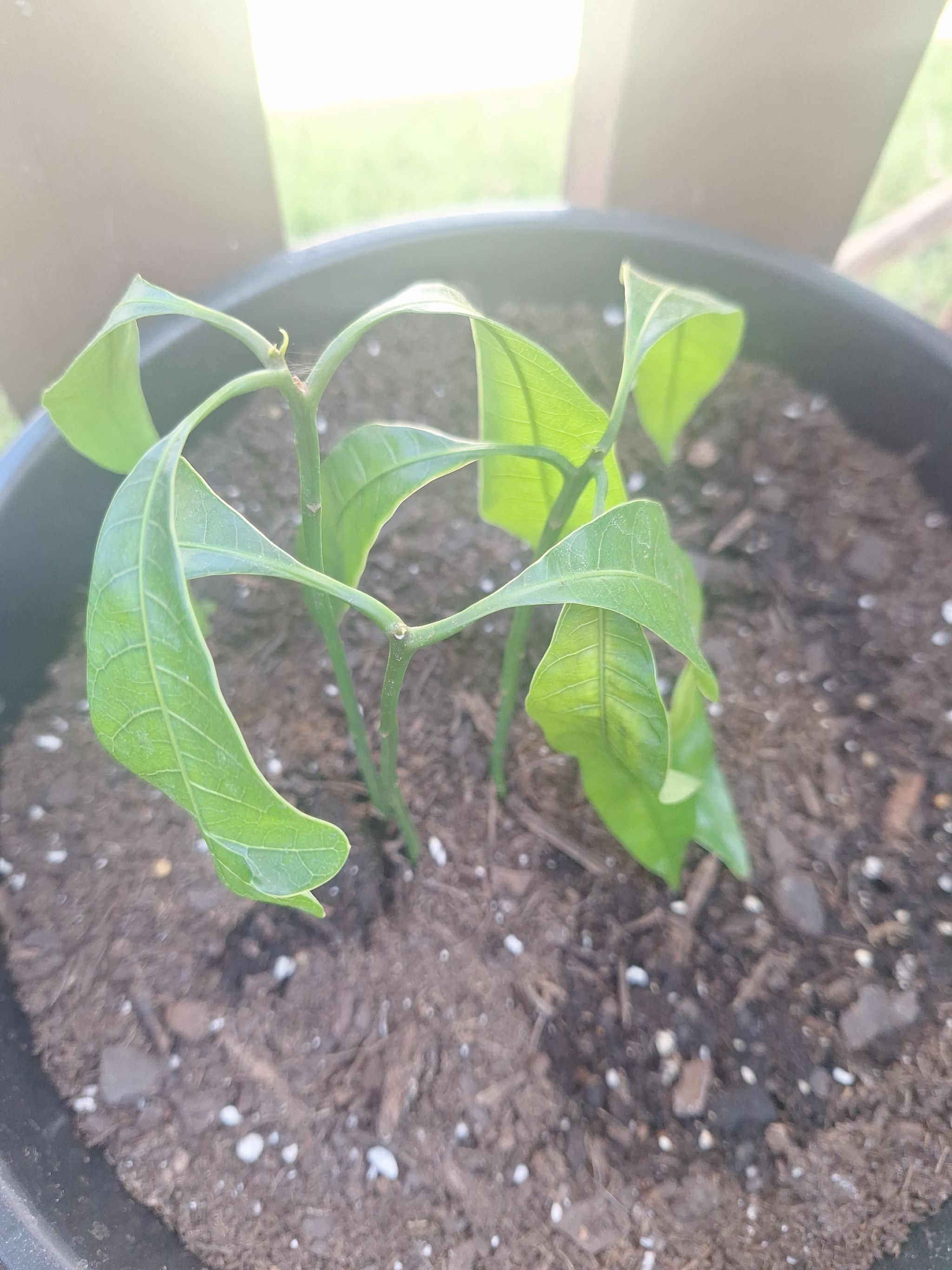 Fertilizer visual data 6