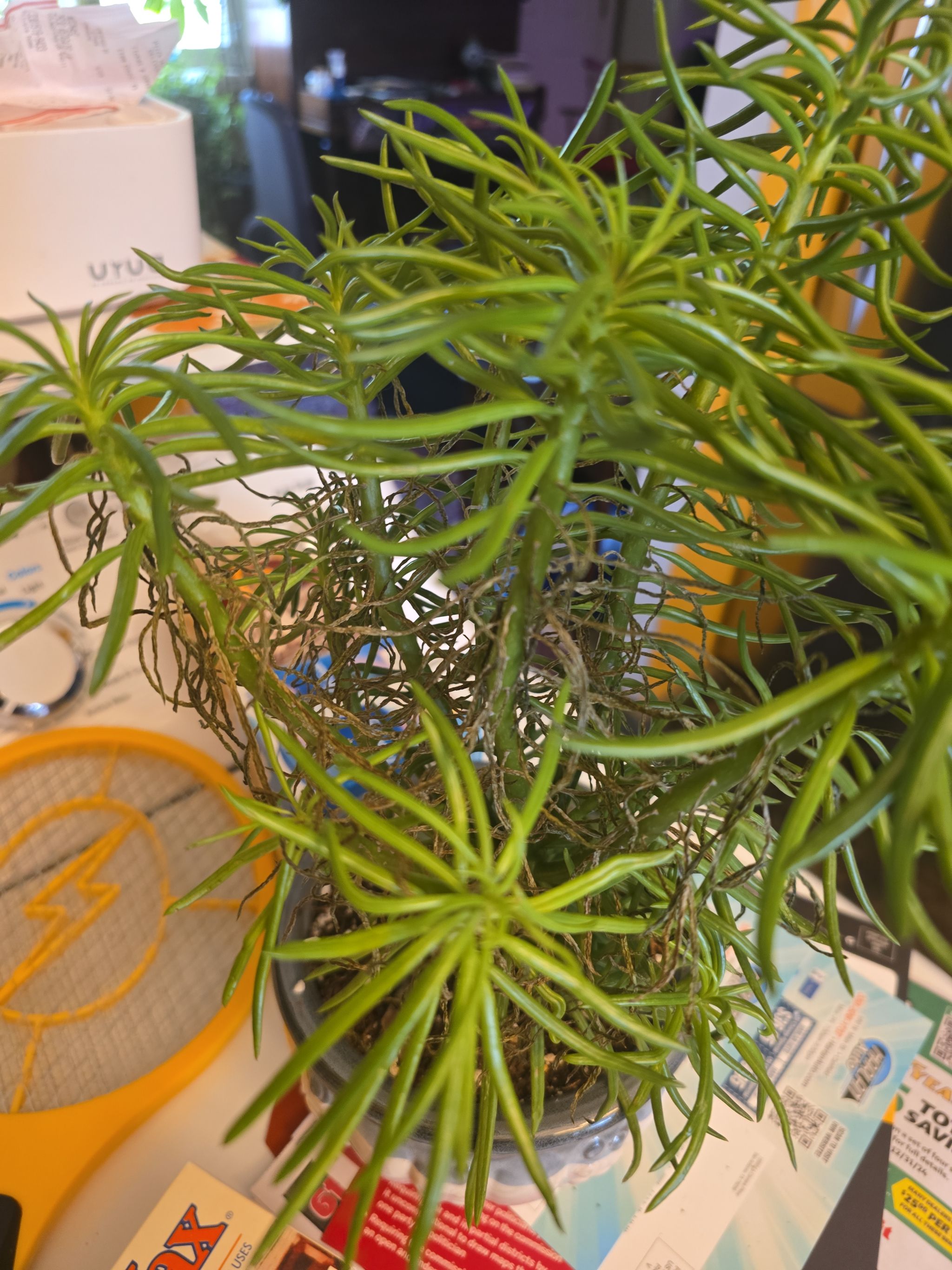 Photo from the post