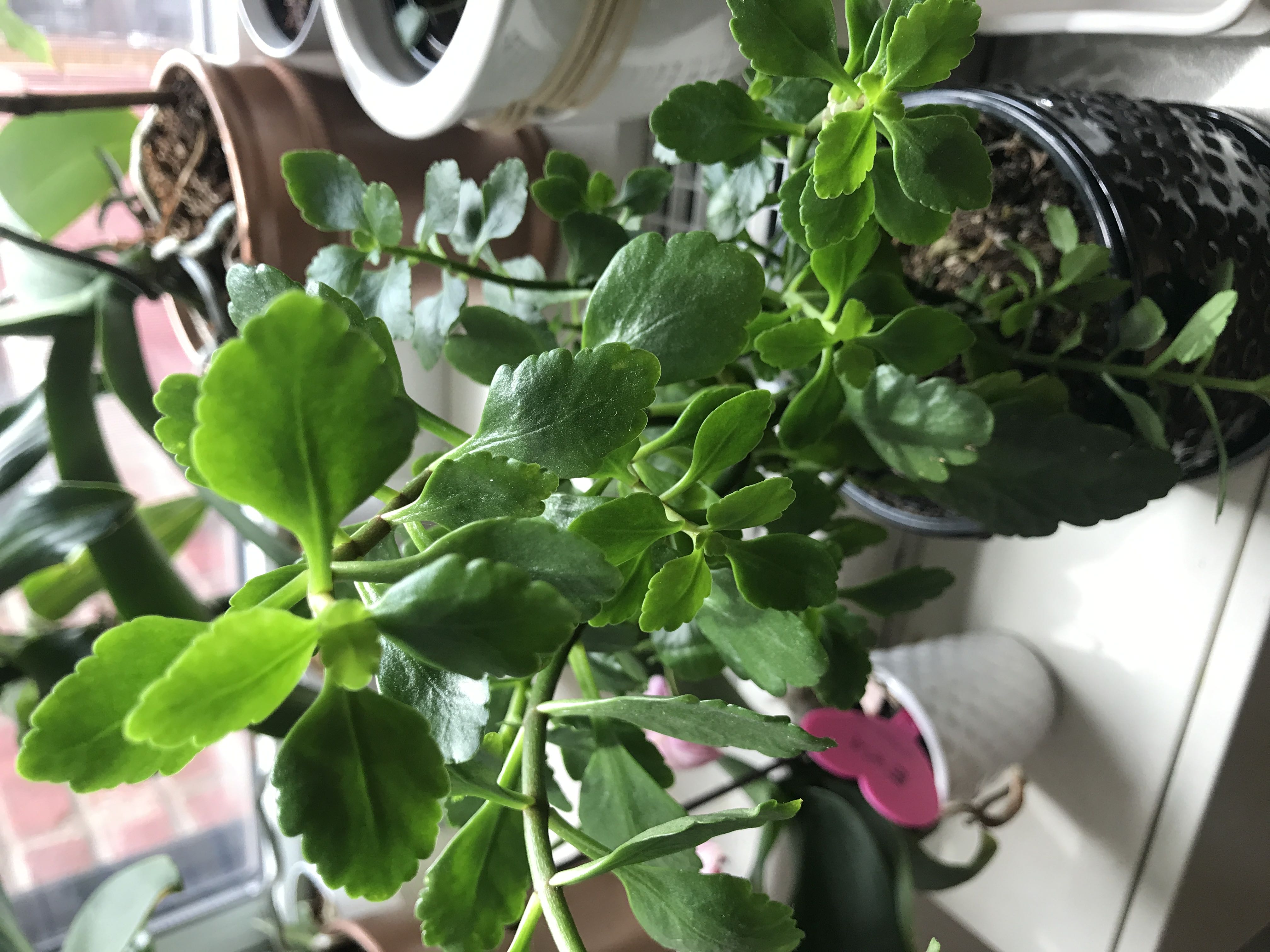 Photo from the post
