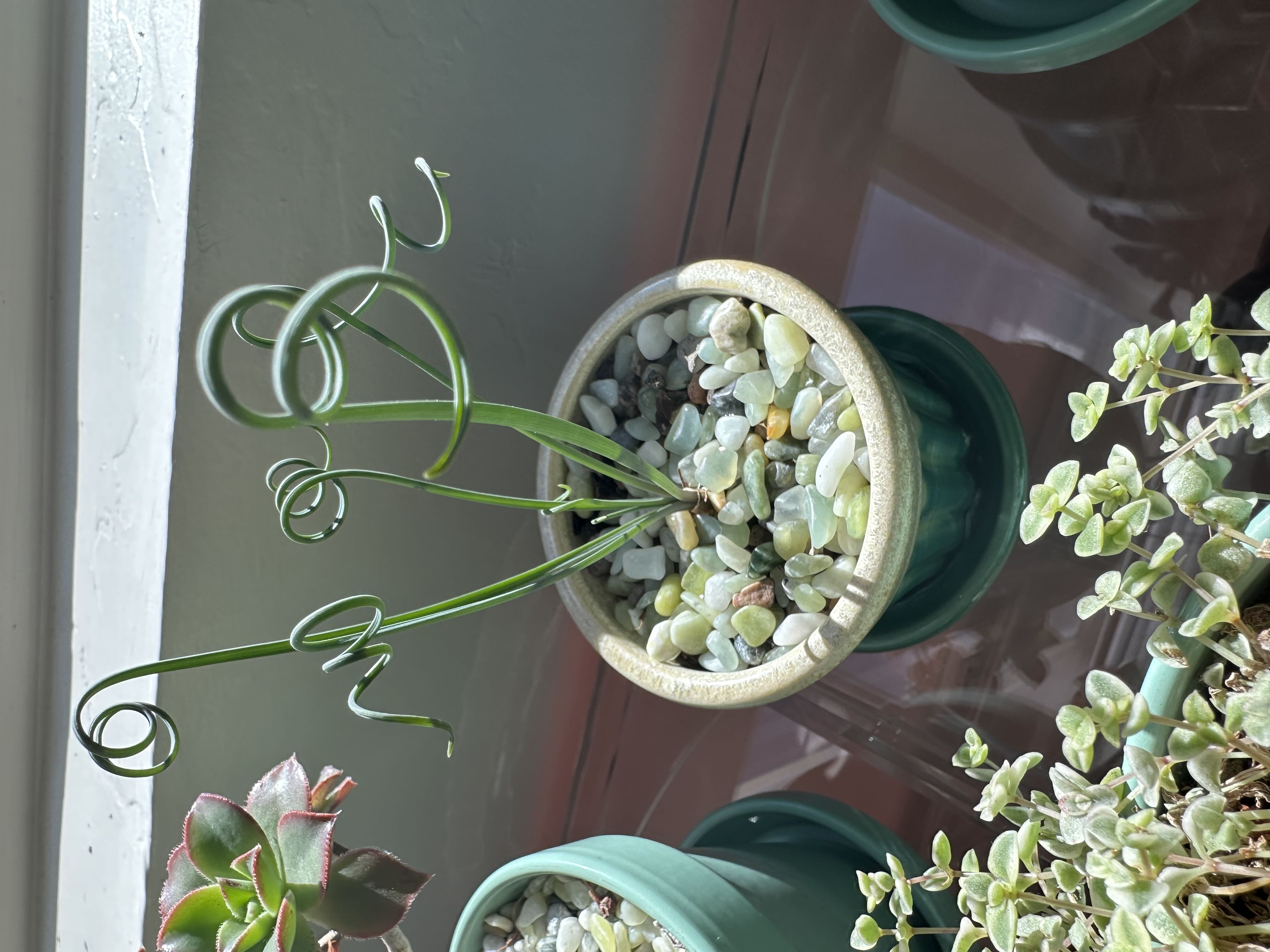 Photo from the post