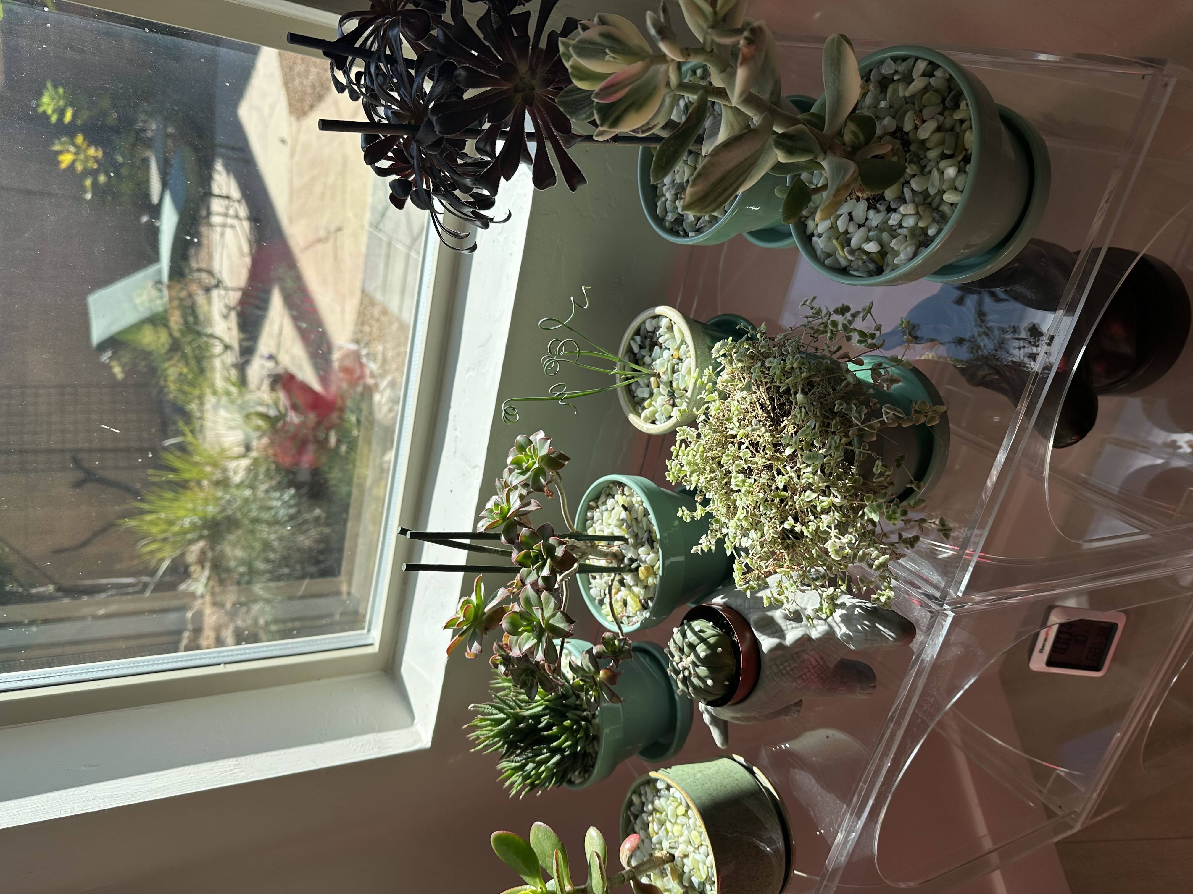 Photo from the post