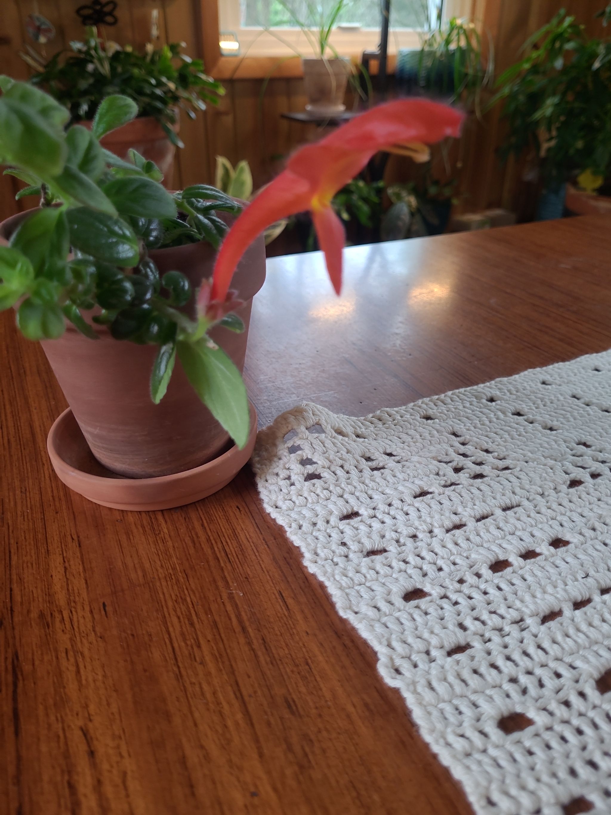 Photo from the post