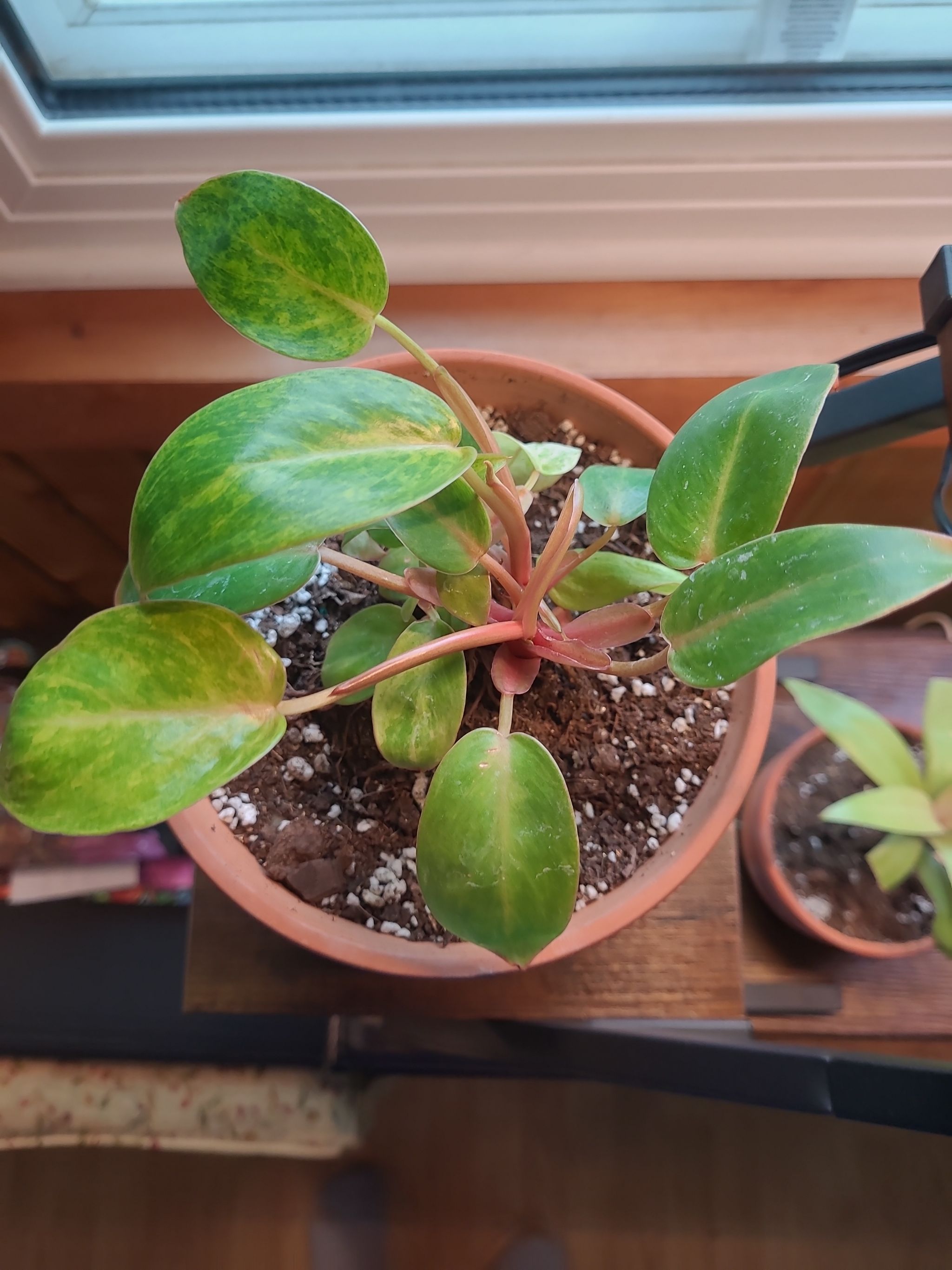Photo from the post