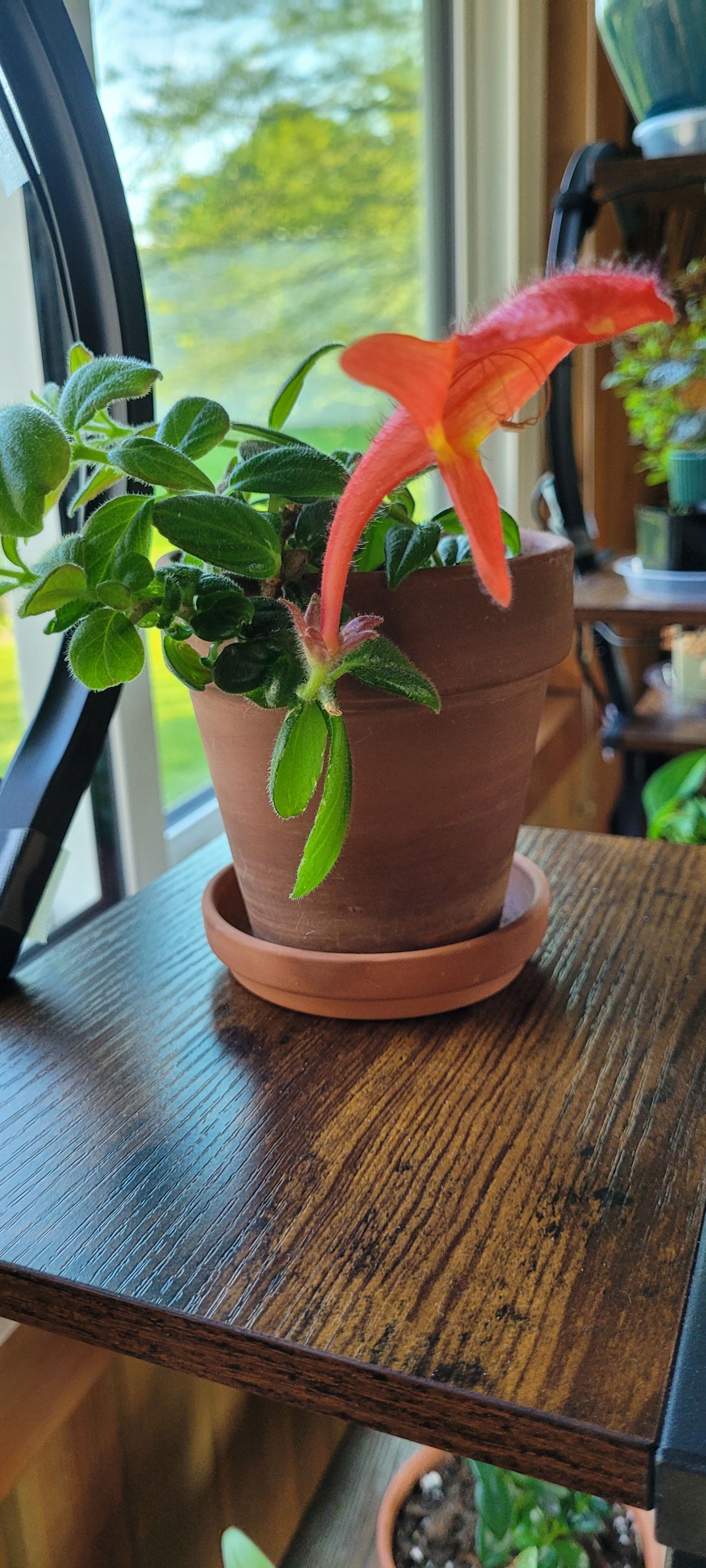 Photo from the post