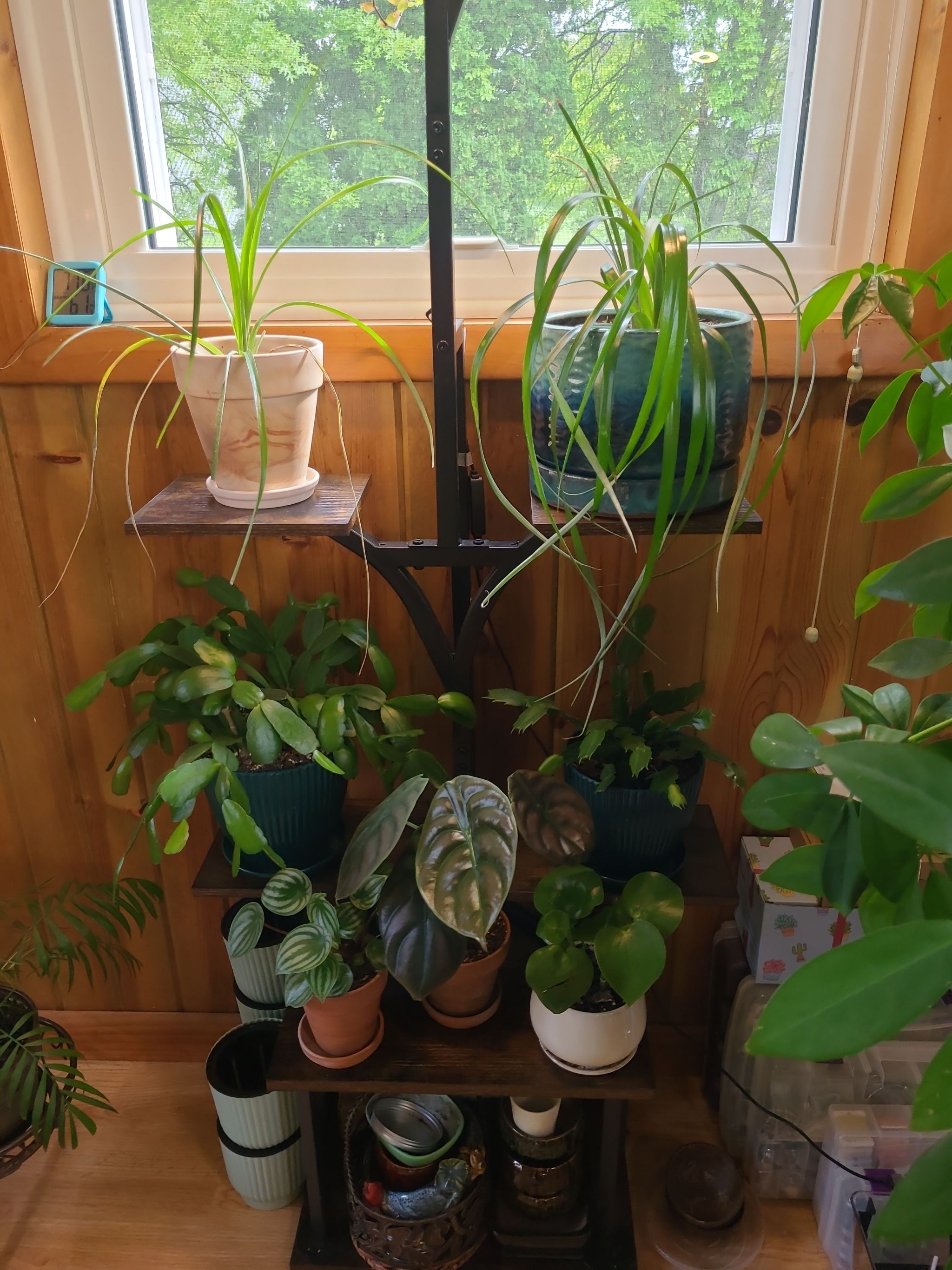 Photo from the post