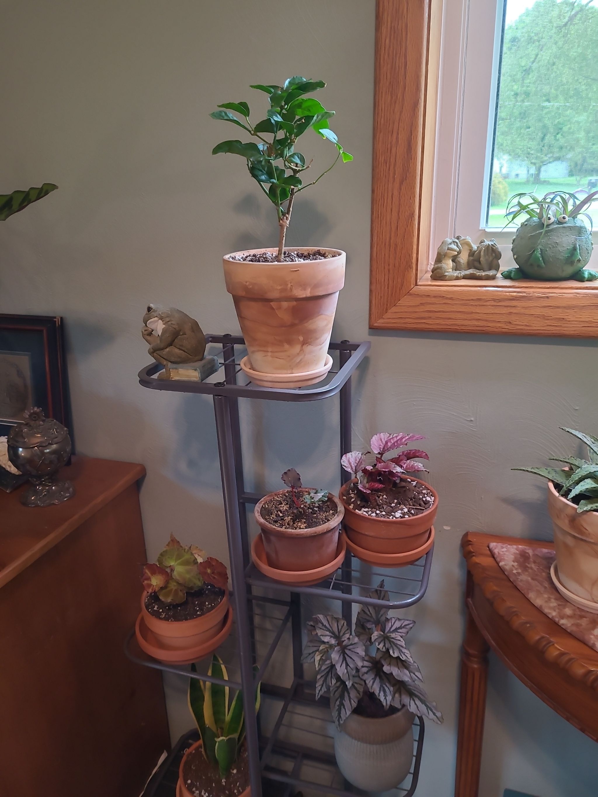 Photo from the post