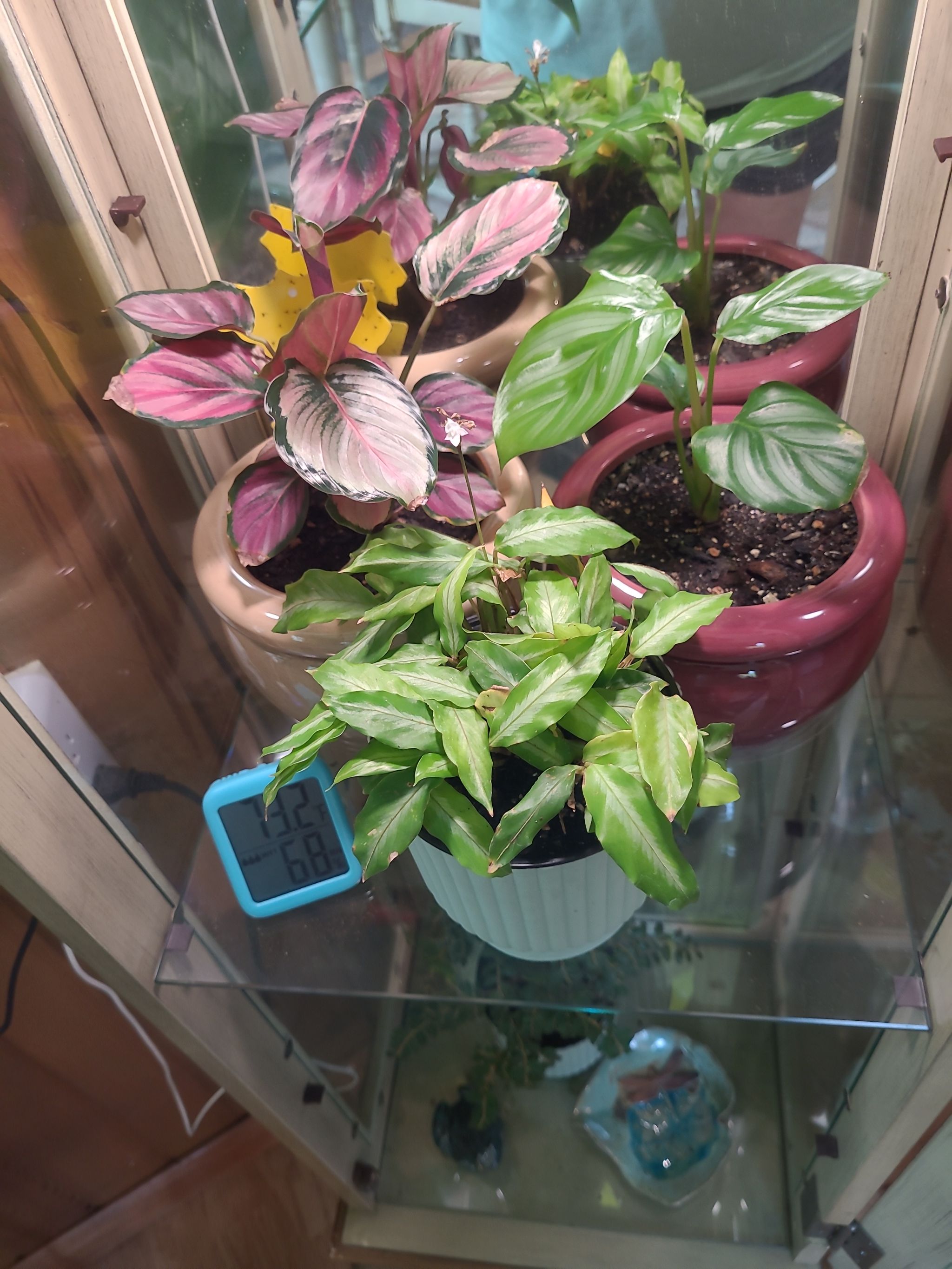 Photo from the post