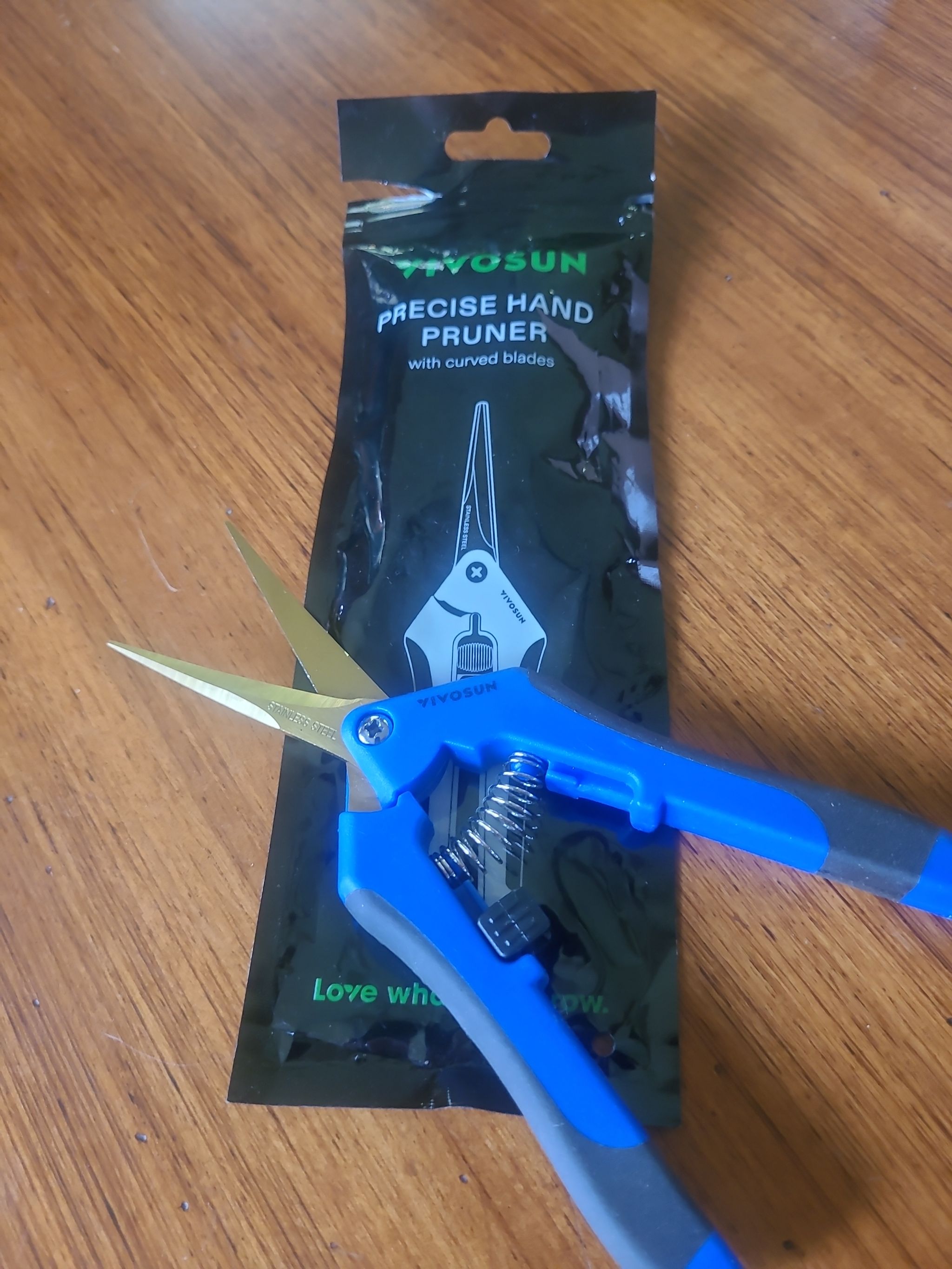 Photo from the post