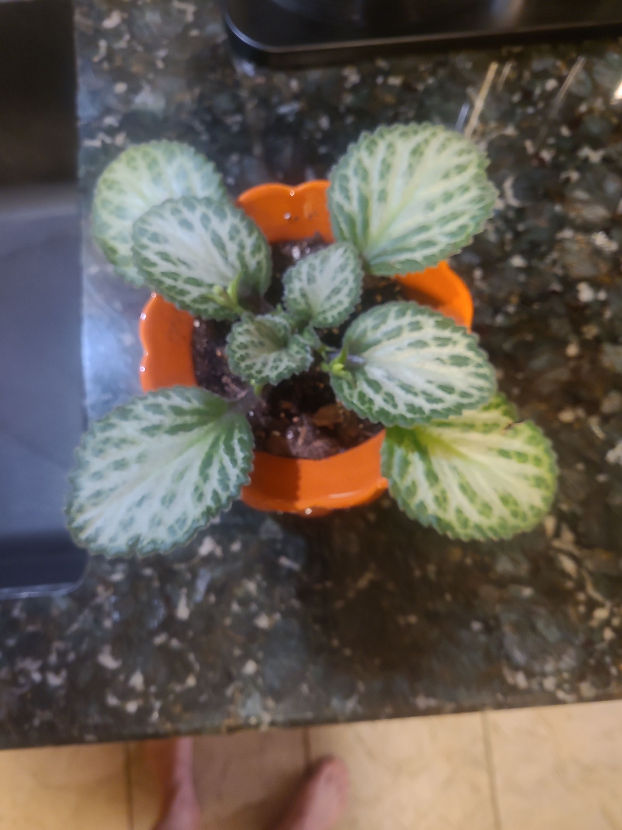 Photo from the post