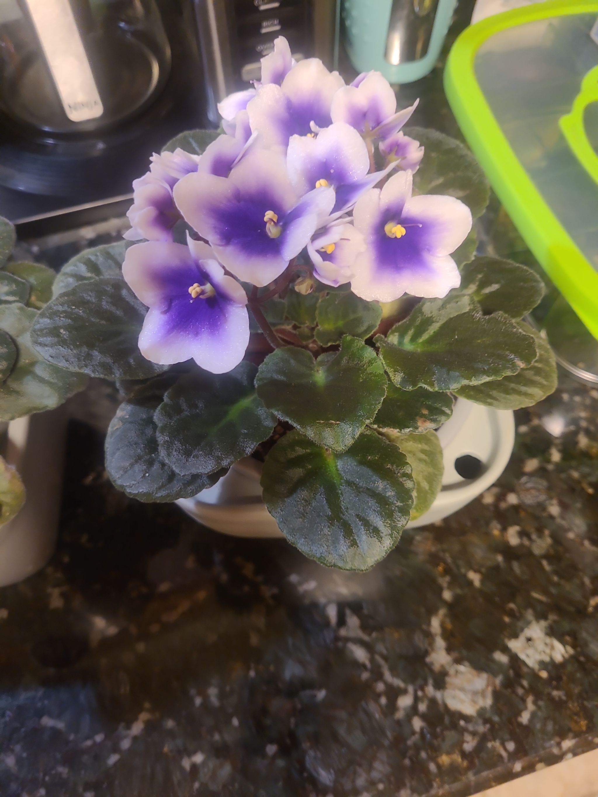 Photo from the post
