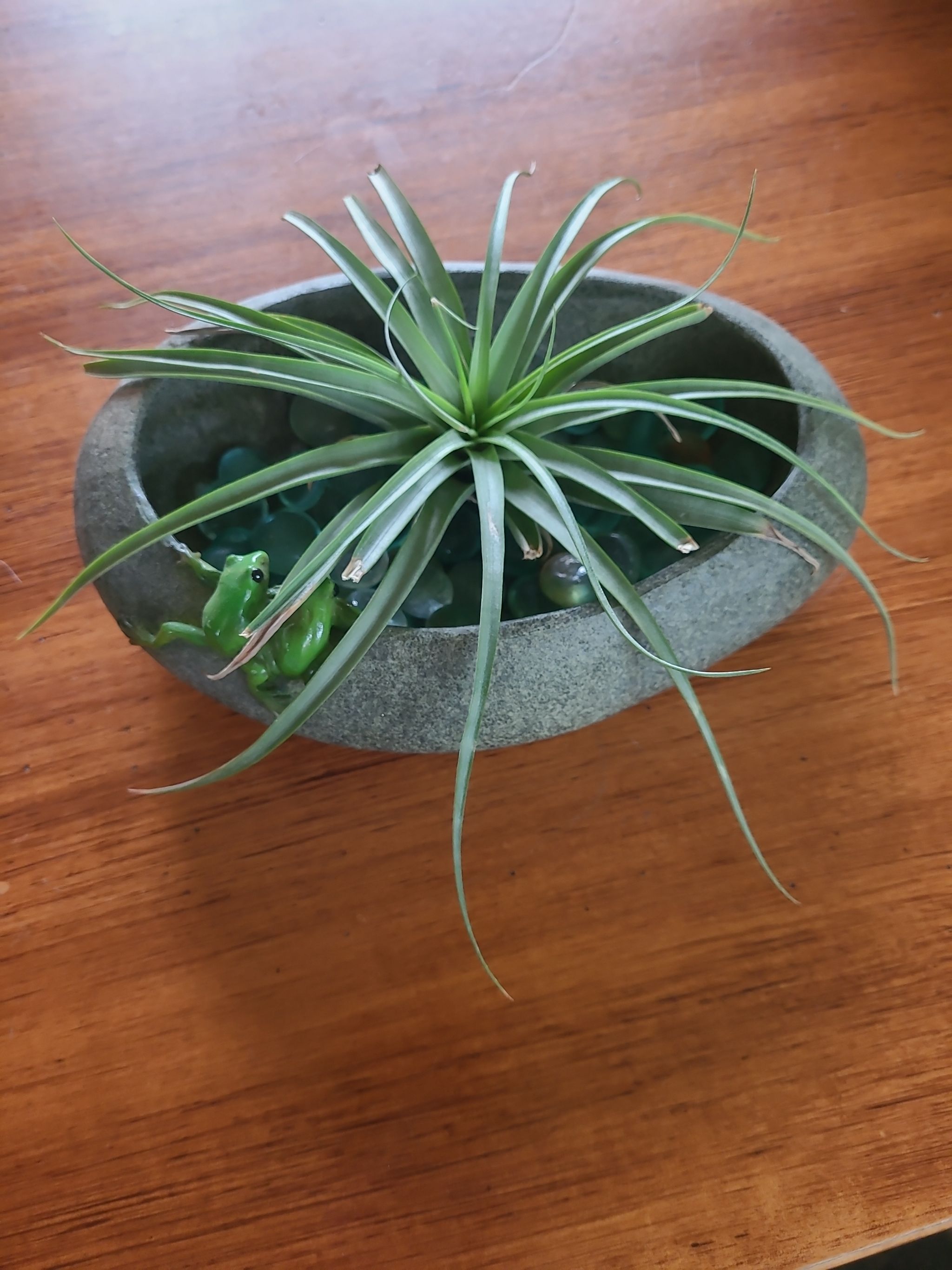 Photo from the post