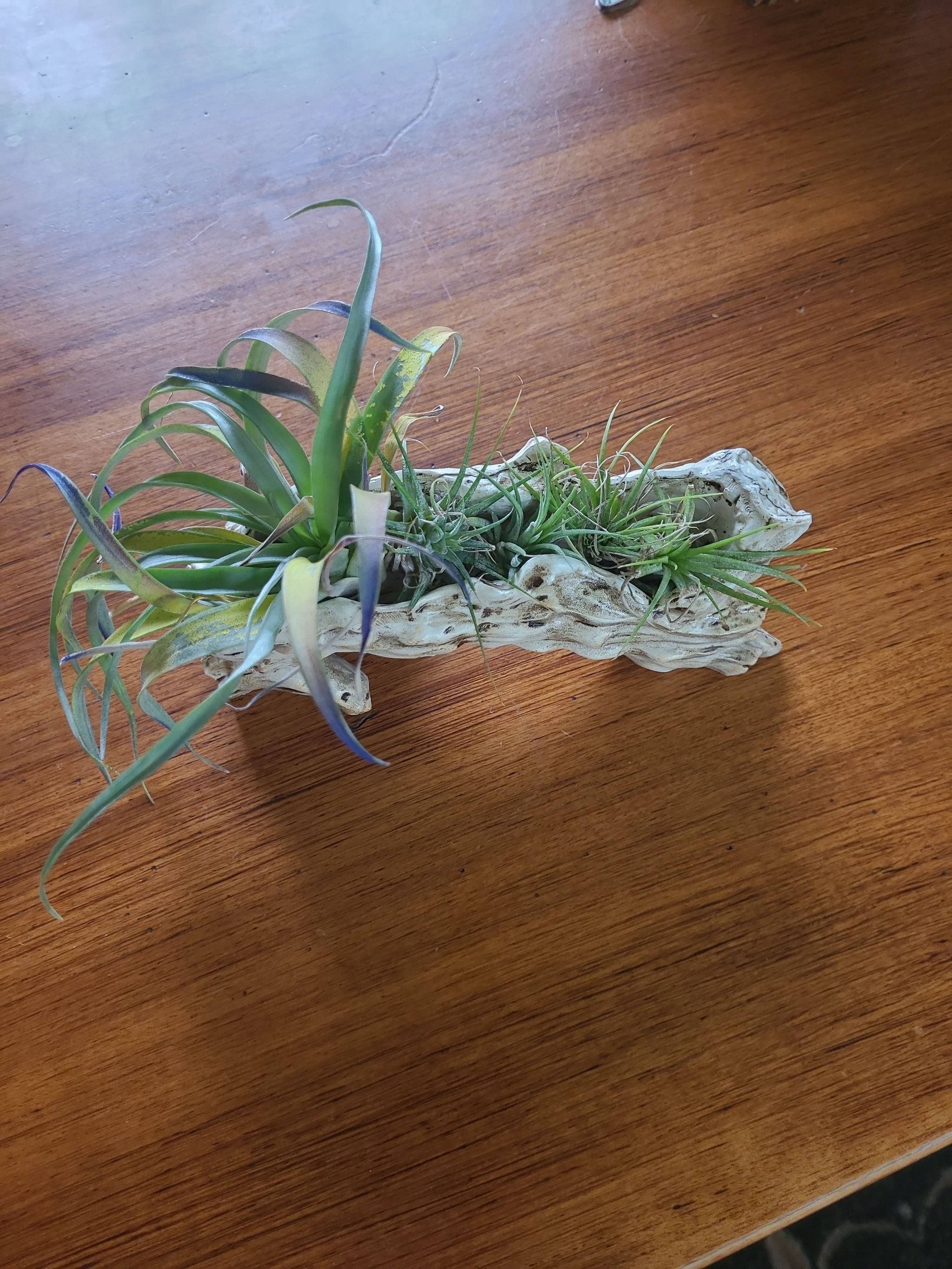 Photo from the post