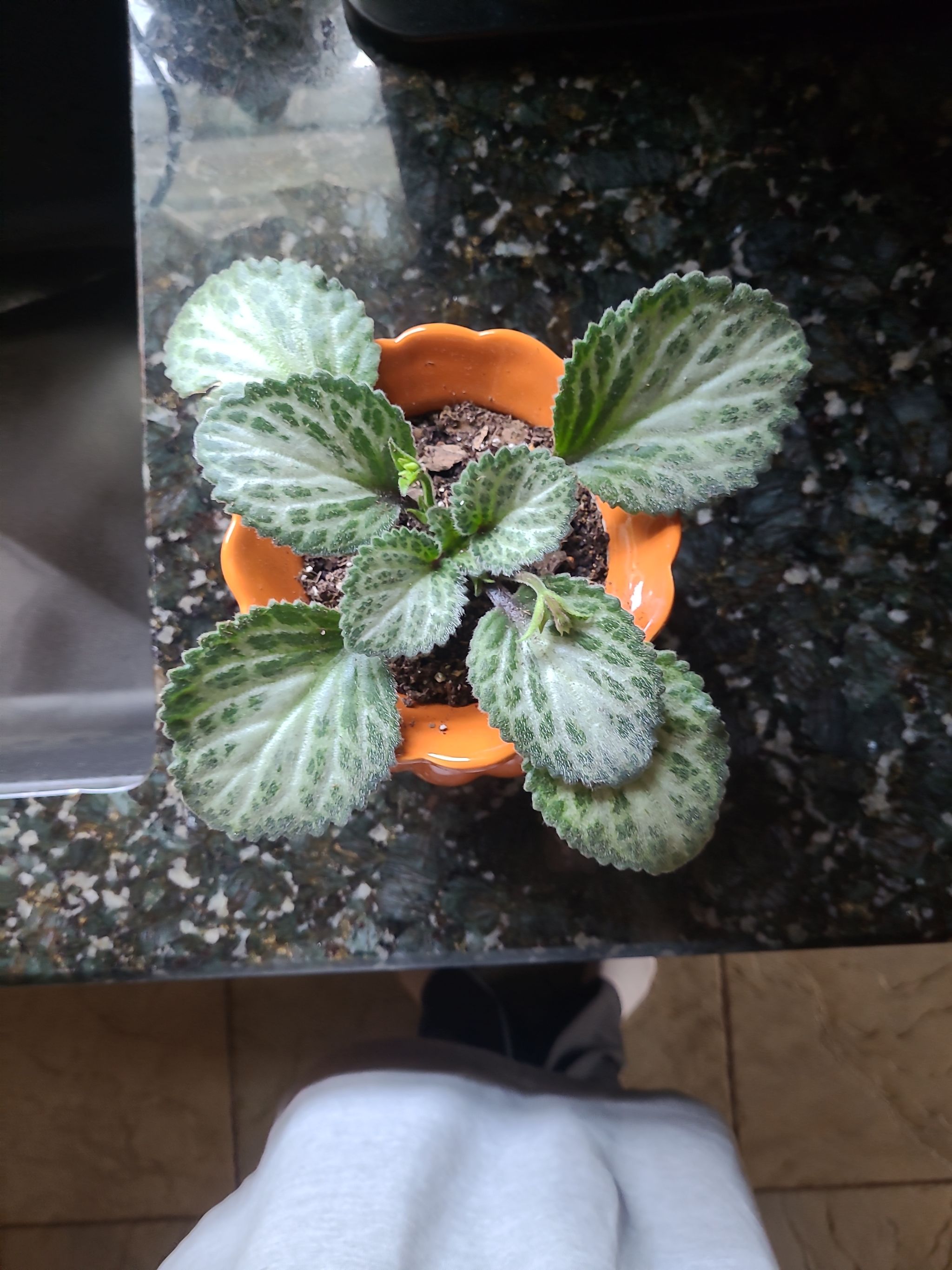 Photo from the post