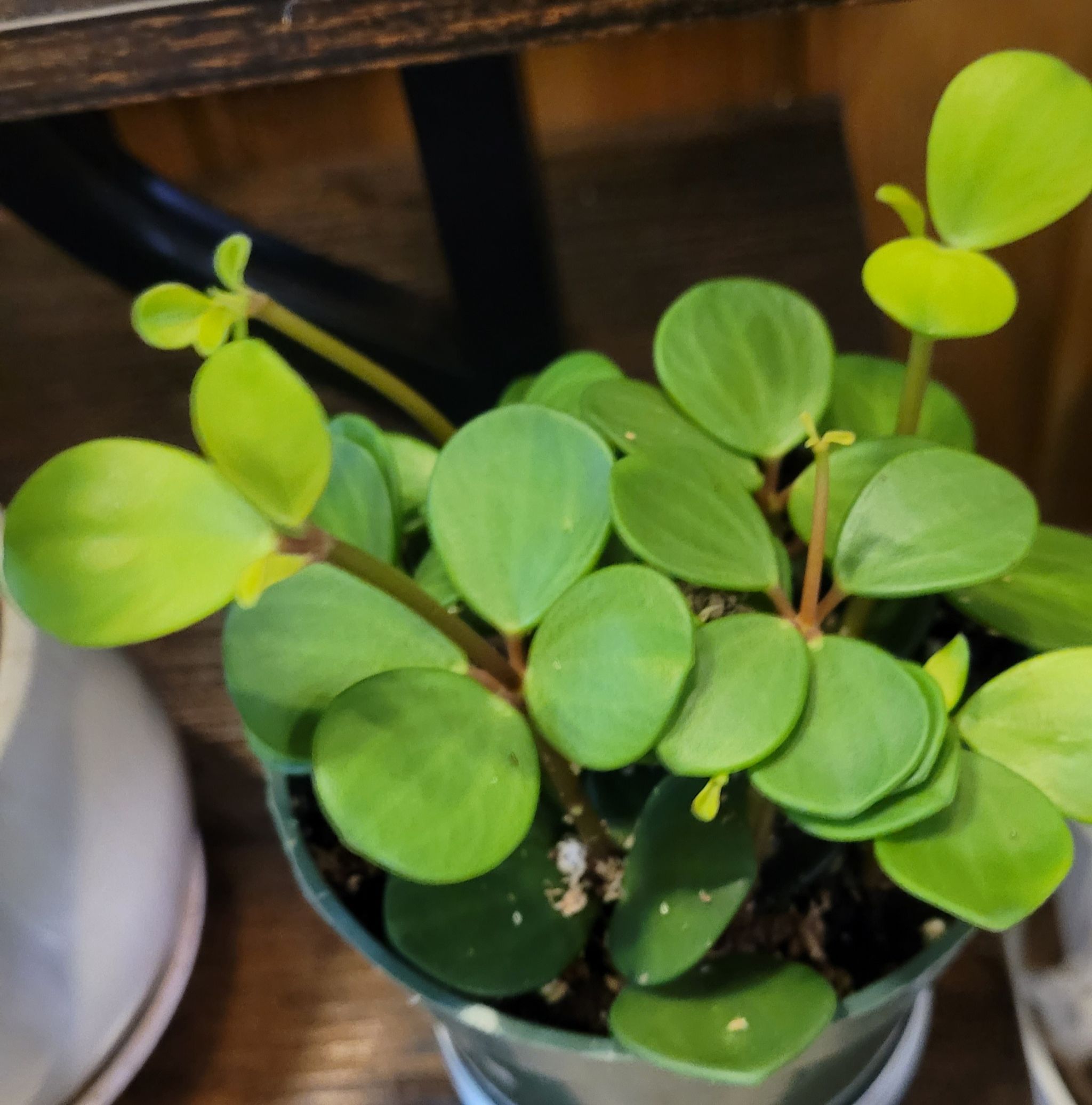 Photo from the post