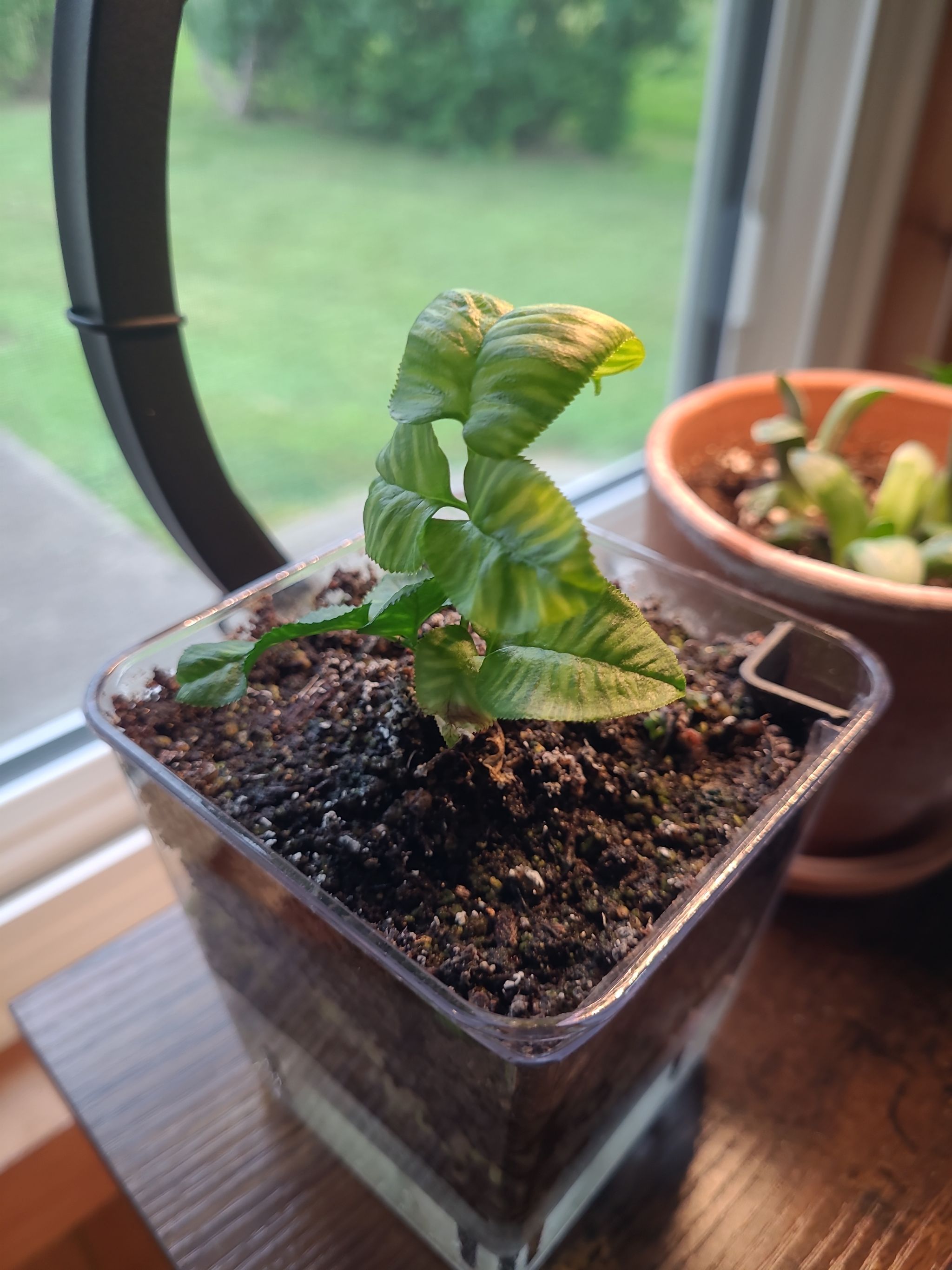Photo from the post