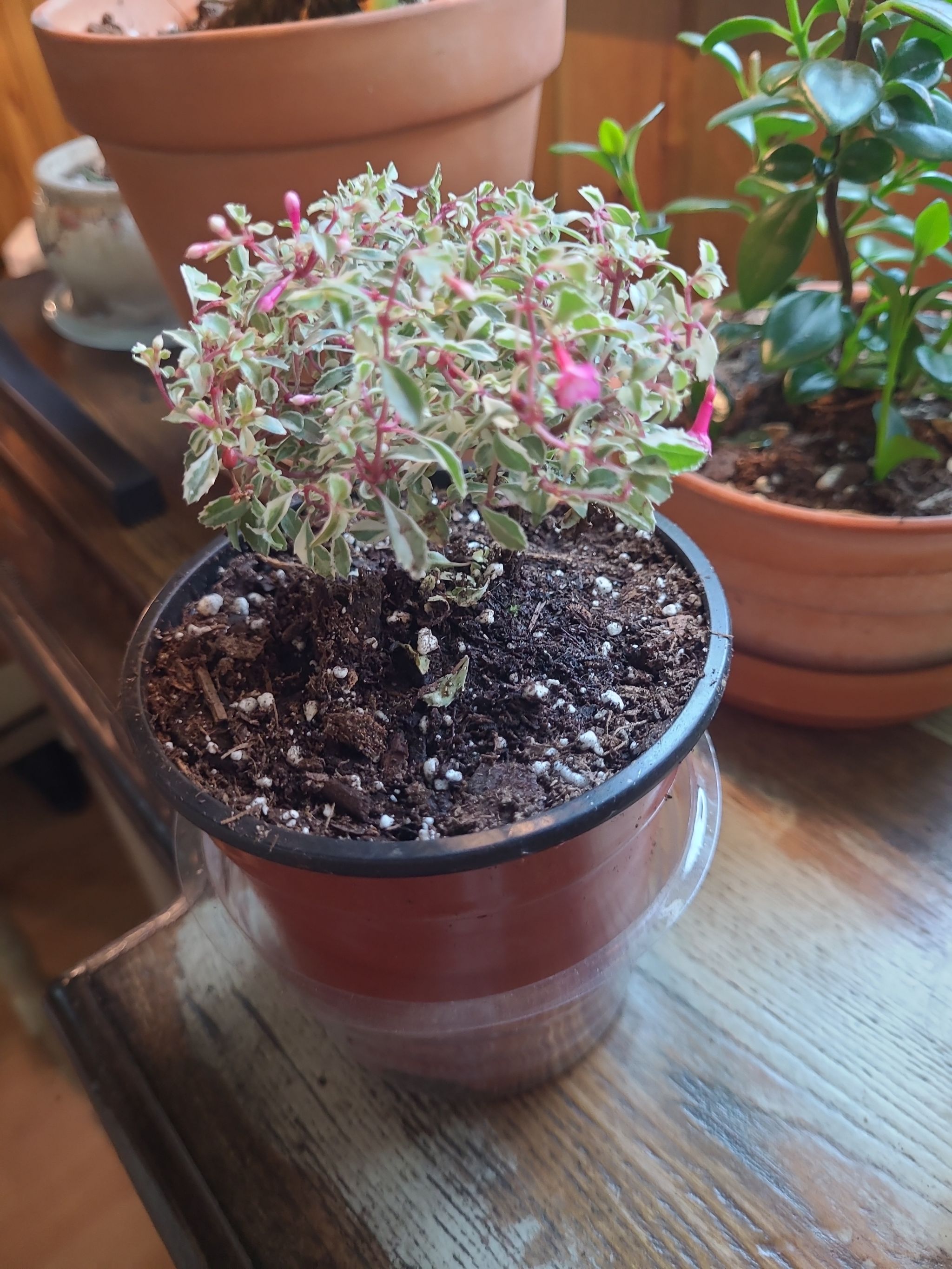 Photo from the post