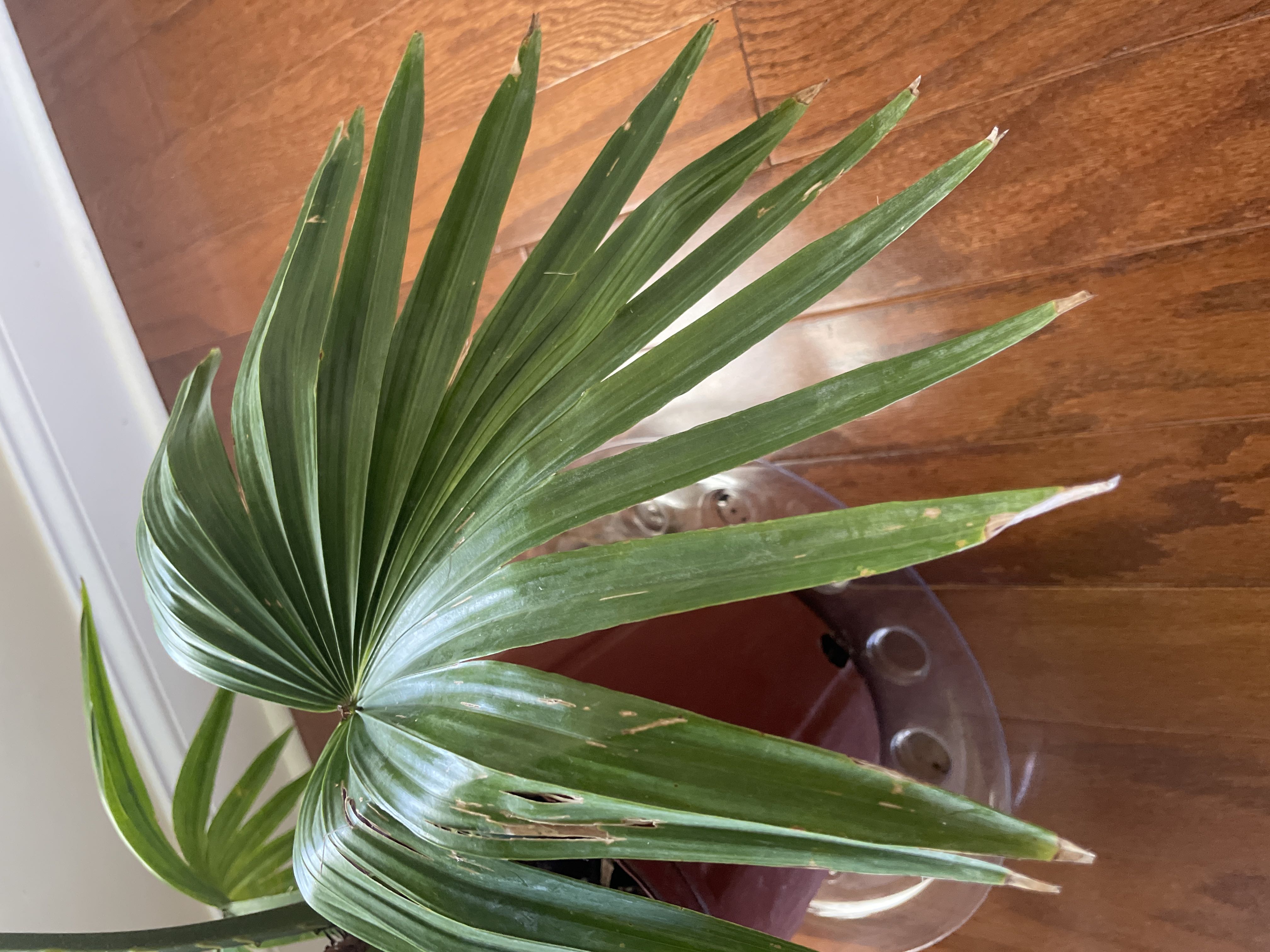 Photo from the post